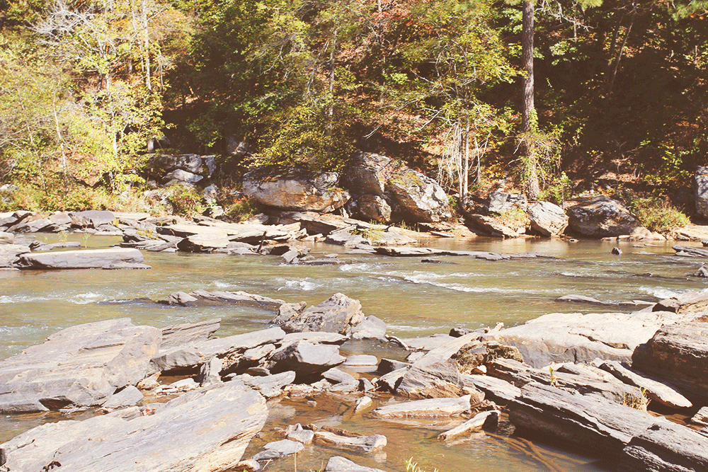 jotorrijos-jo-torrijos-asimplerdesign-a-simpler-design-hunger-games-mockingjay-sweetwater-creek-mill-set-1.jpg