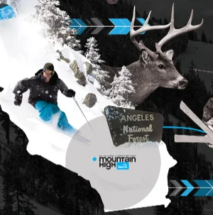 mthigh_th.jpg