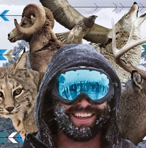wildlife_th.jpg