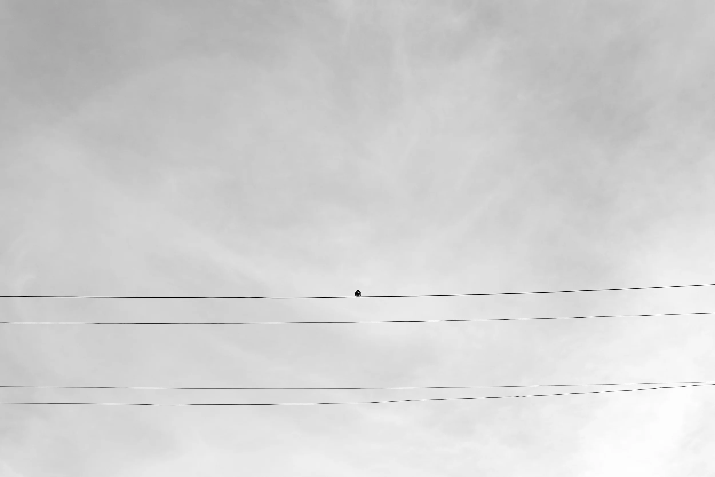 2016-125.jpg