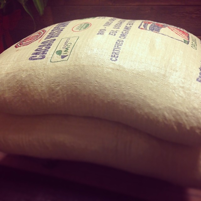 Organic cacao beans arrive