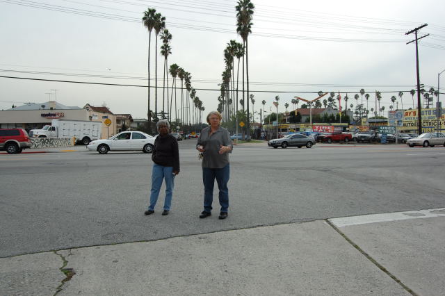 DSC_0737_001.jpg