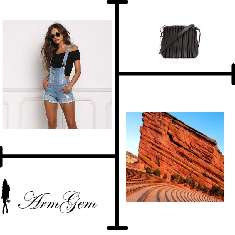 Alexander Wang Concert.png