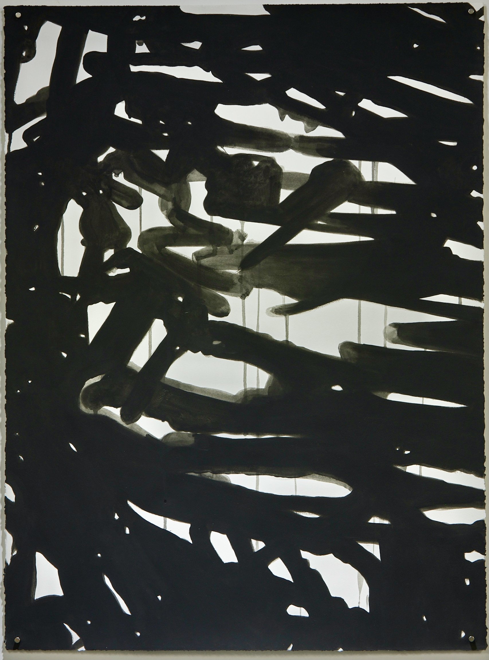 Untitled (Abstract Plant Details) 2020-2021 Acrylic Gouache on Rives BFK Paper 30"x22"