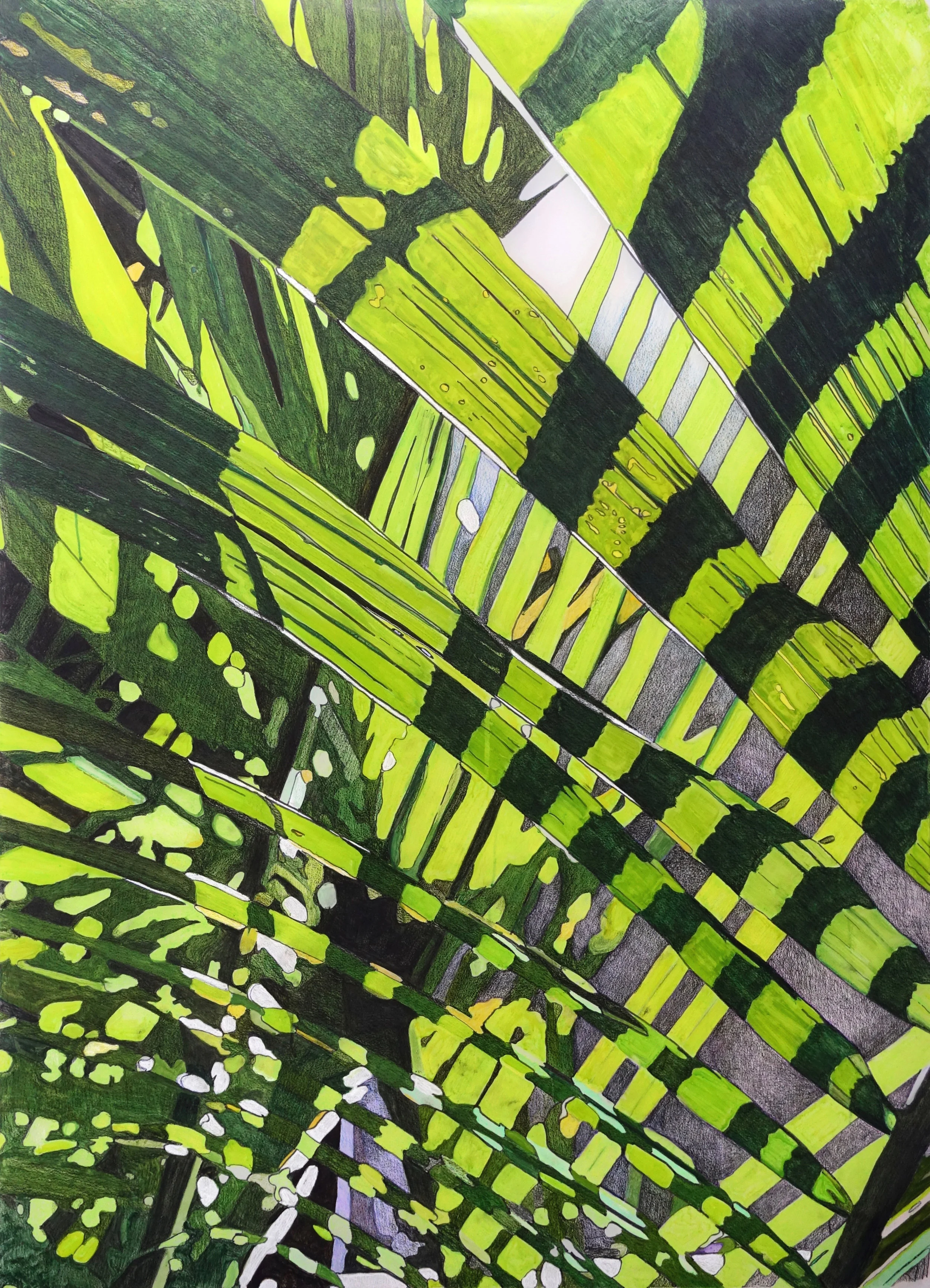 Tropical Plant Available Prints (55"x40")