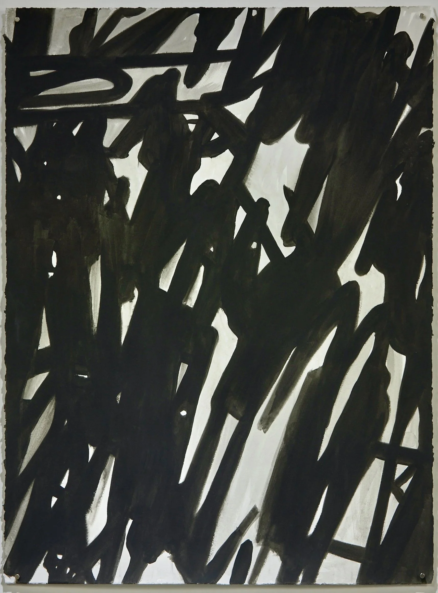 Untitled (Abstract Plant Details) 2020-2021 Acrylic Gouache on Rives BFK Paper 30"x22"