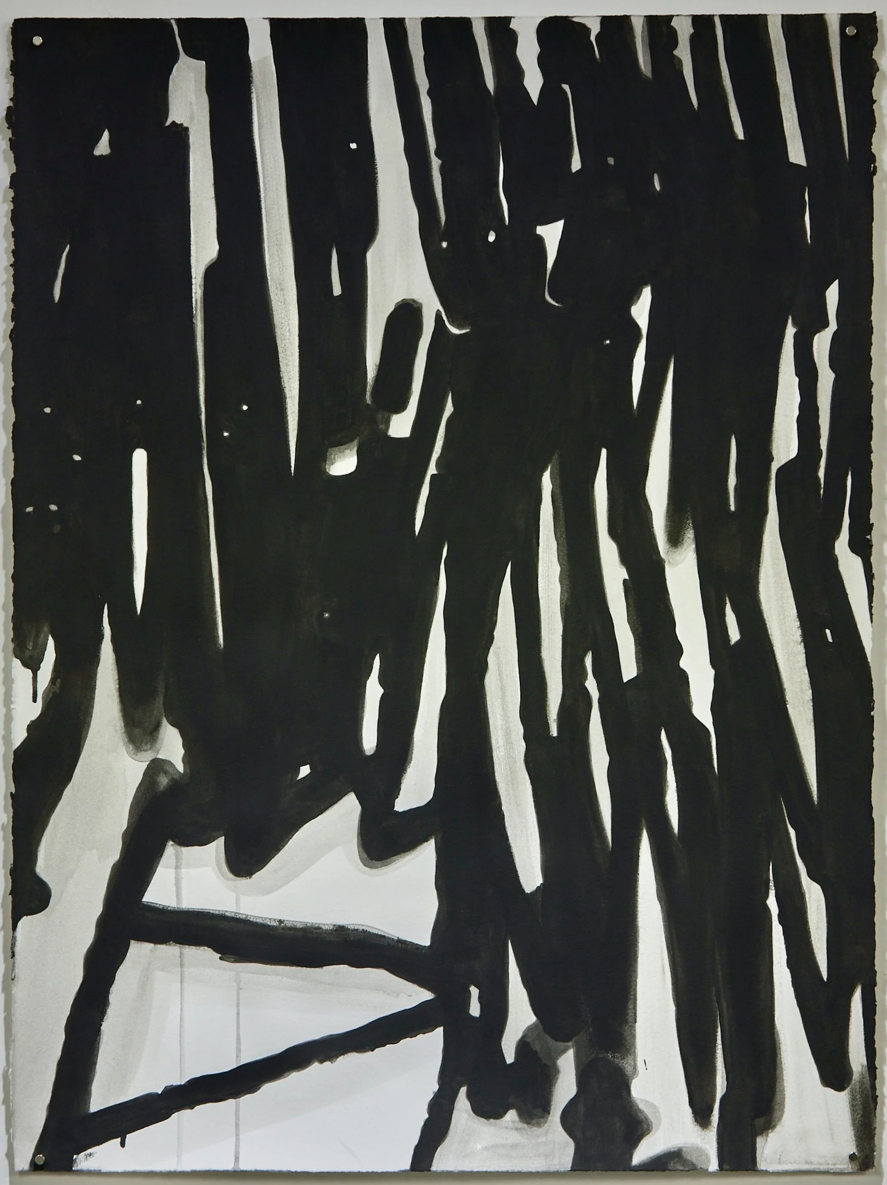 Untitled (Abstract Plant Details) 2020-2021 Acrylic Gouache on Rives BFK Paper 30"x22"