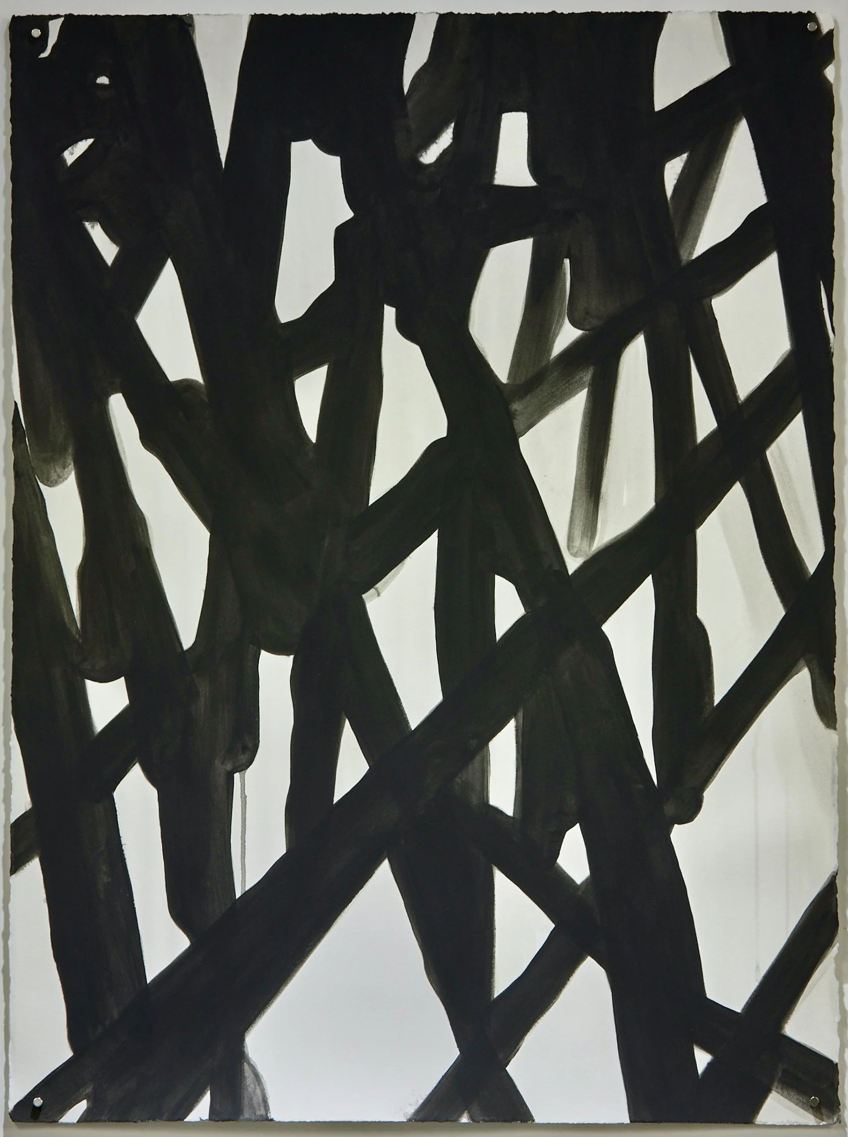 Untitled (Abstract Plant Details) 2020-2021 Acrylic Gouache on Rives BFK Paper 30"x22"