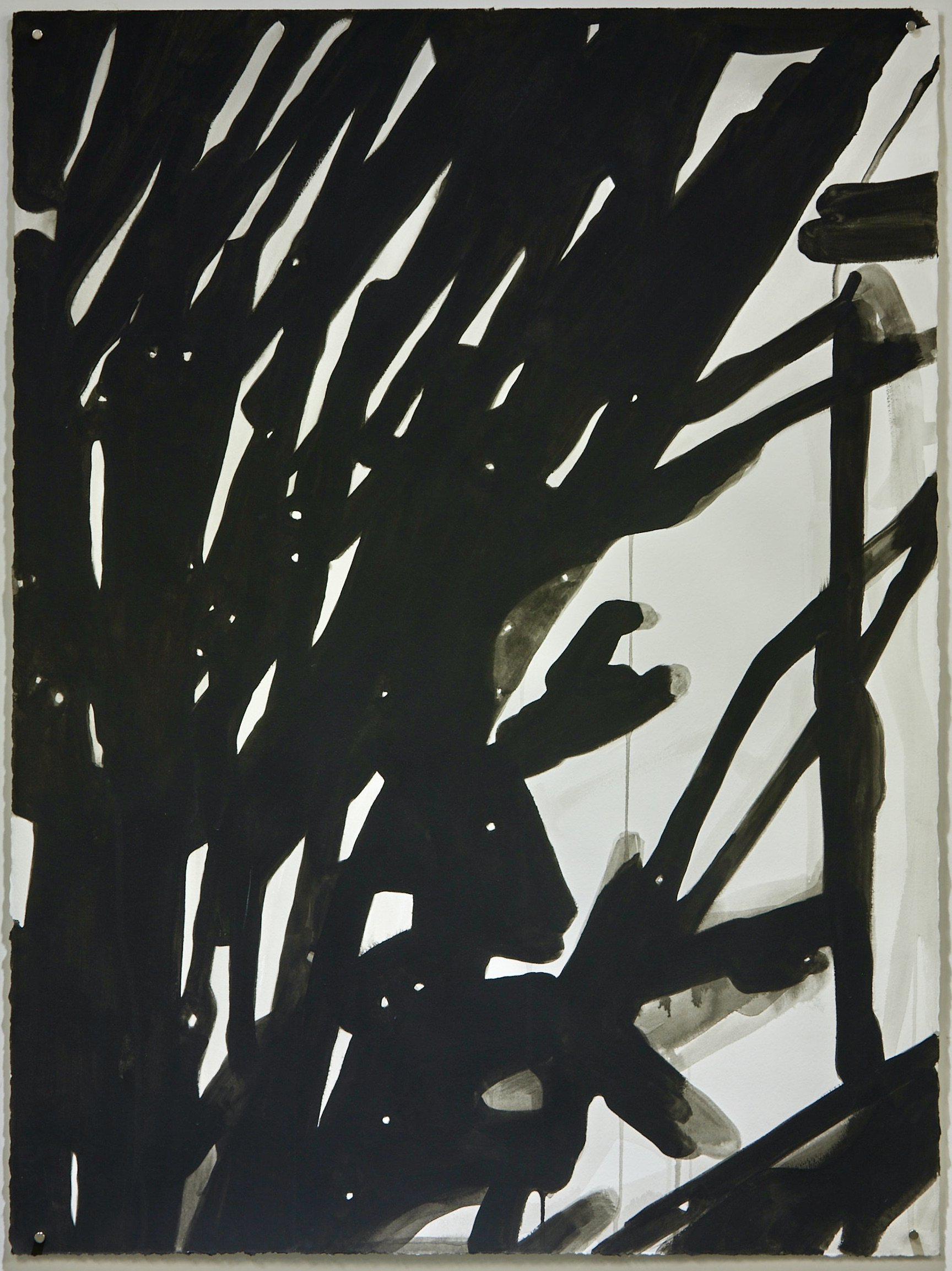 Untitled (Abstract Plant Details) 2020-2021 Acrylic Gouache on Rives BFK Paper 30"x22"