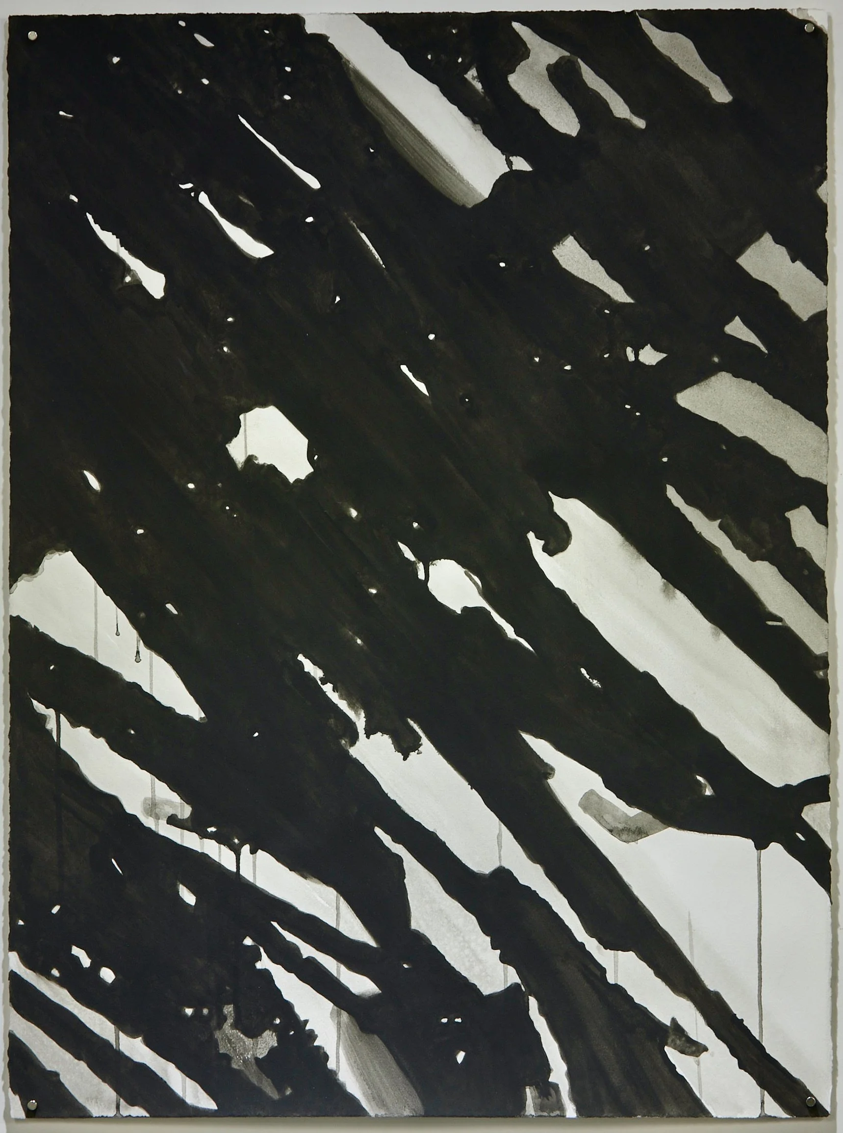 Untitled (Abstract Plant Details) 2020-2021 Acrylic Gouache on Rives BFK Paper 30"x22"