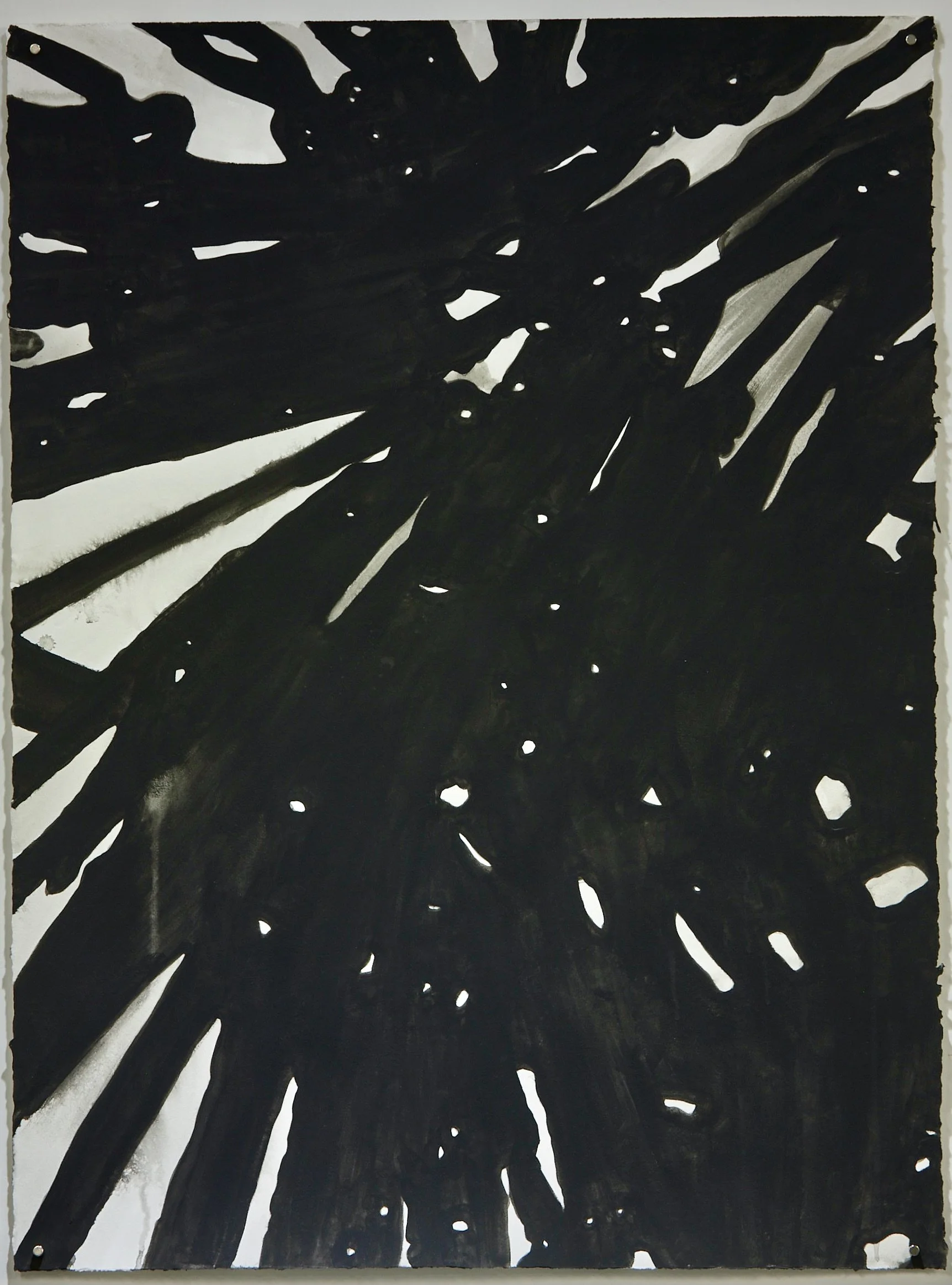 Untitled (Abstract Plant Details) 2020-2021 Acrylic Gouache on Rives BFK Paper 30"x22"