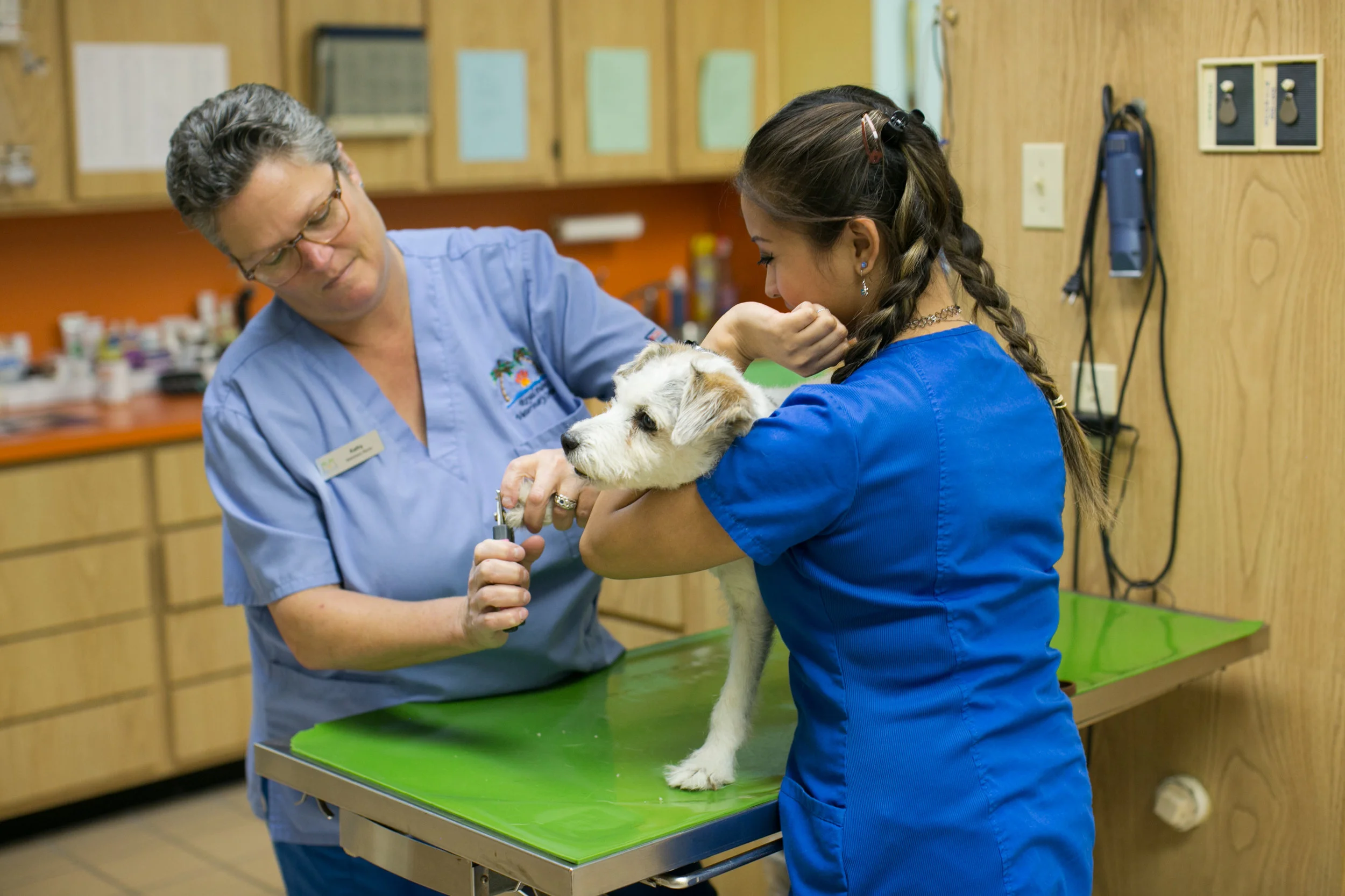 VetClinic-102.jpg
