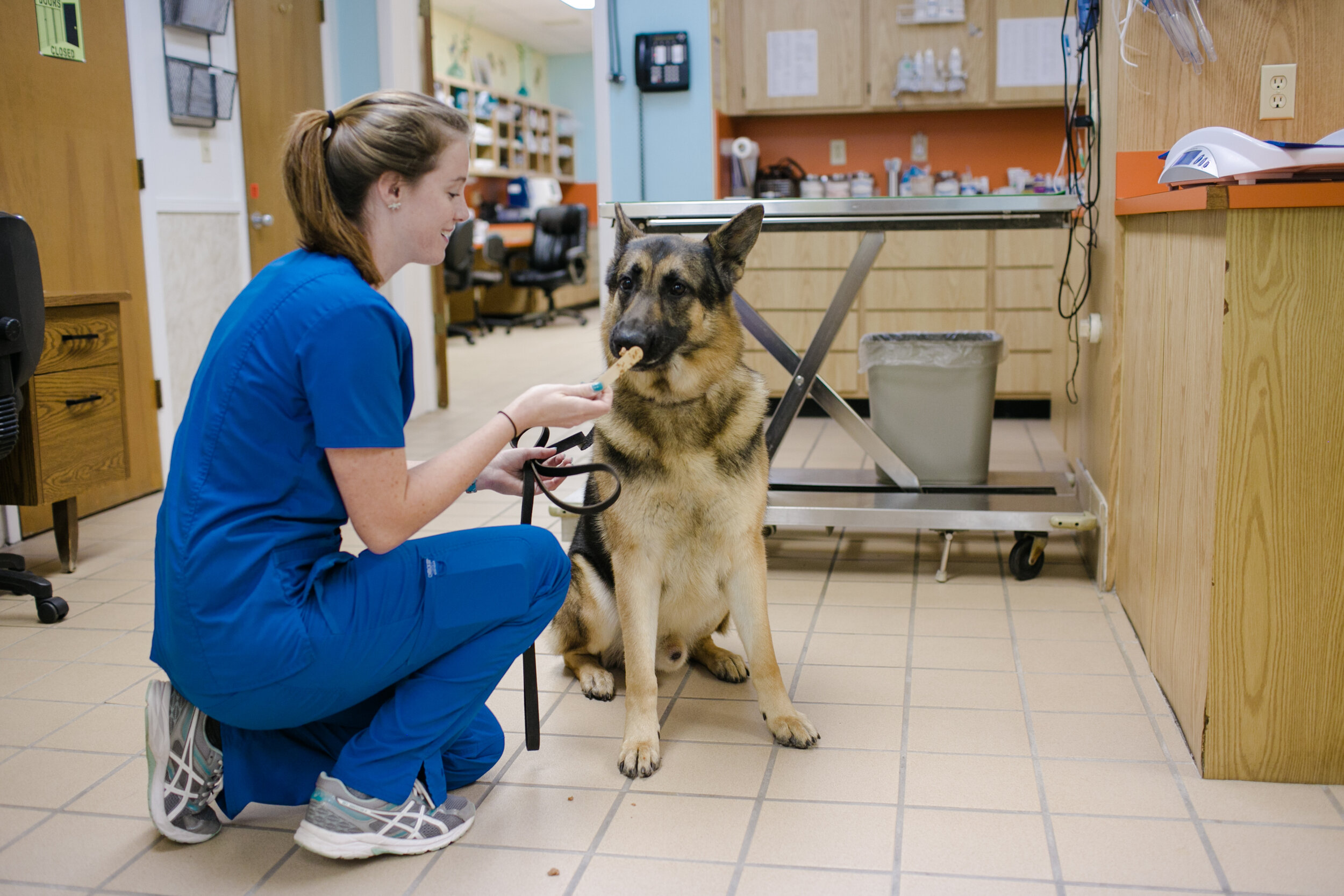 VetClinic-133.jpg