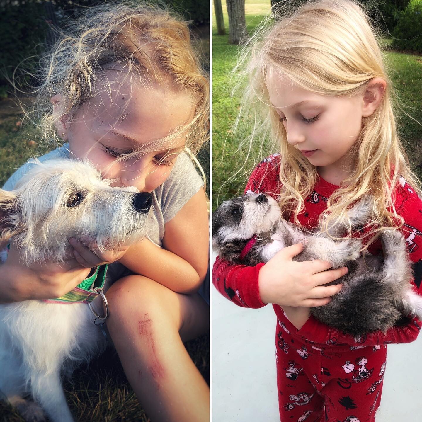 It's #nationalloveyourpetday or pets x✌️ ...👇 comment yours below! 🥰
#royalpalmveterinarycenter