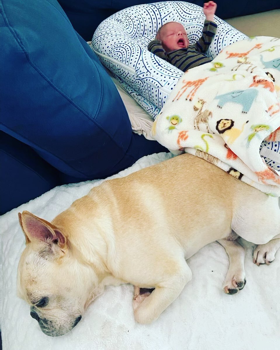 #mansbestfriendmonday is Duke, taking on his new ‘big brother‘ and best friend duties. 💙🐾