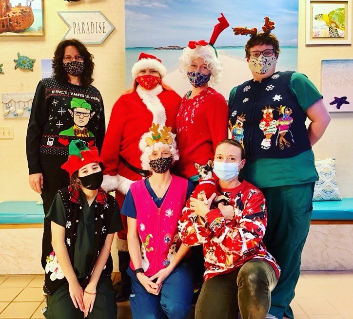 National #uglychristmassweater 🎄day had us in stitches. 🪡🧶😂
#royalpalmveterinarycenter