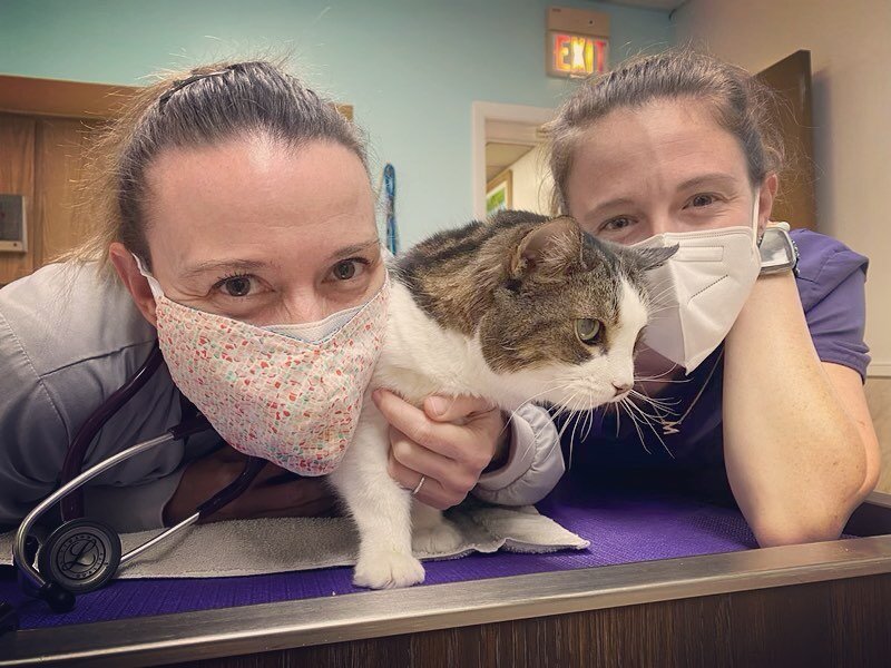 It's #twosday Tuesday ✌️/✌️✌️/✌️✌️ and what better way to care for our patients than in 2️⃣s!! 🐈: Chrissy
#royalpalmveterinarycenter