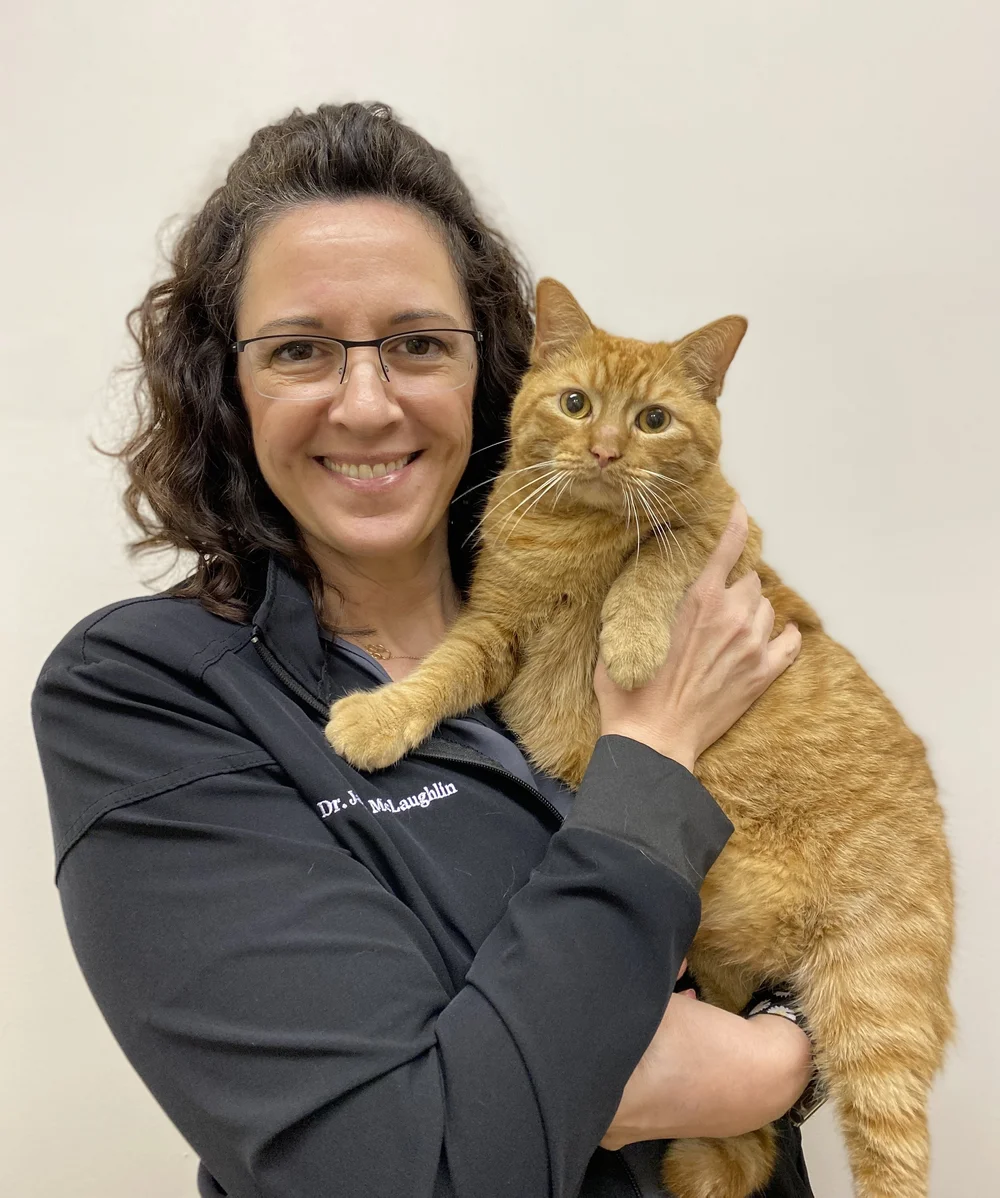 Dr. Jamie McLaughlin — Royal Palm Veterinary Center
