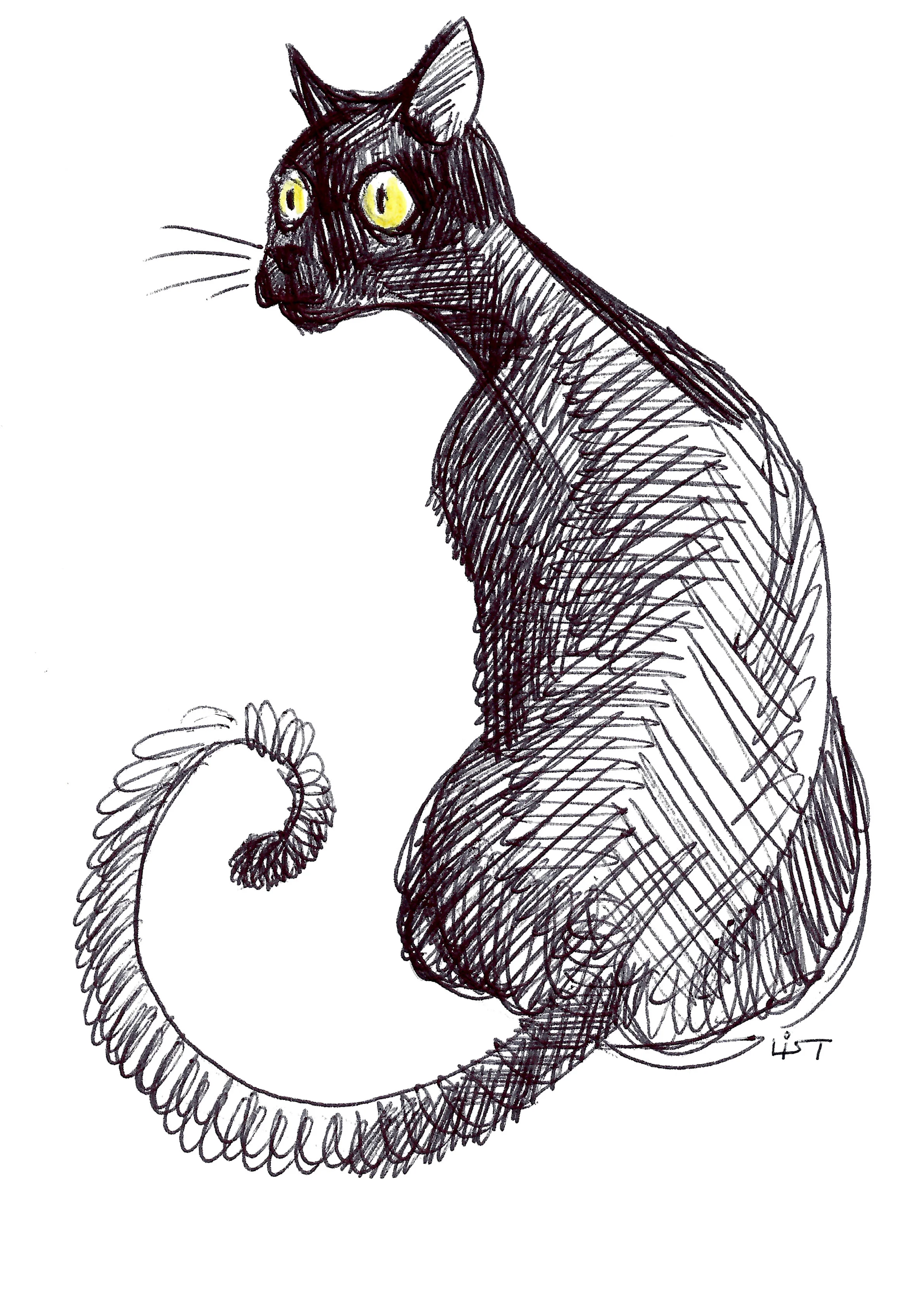 gatto_01.jpg