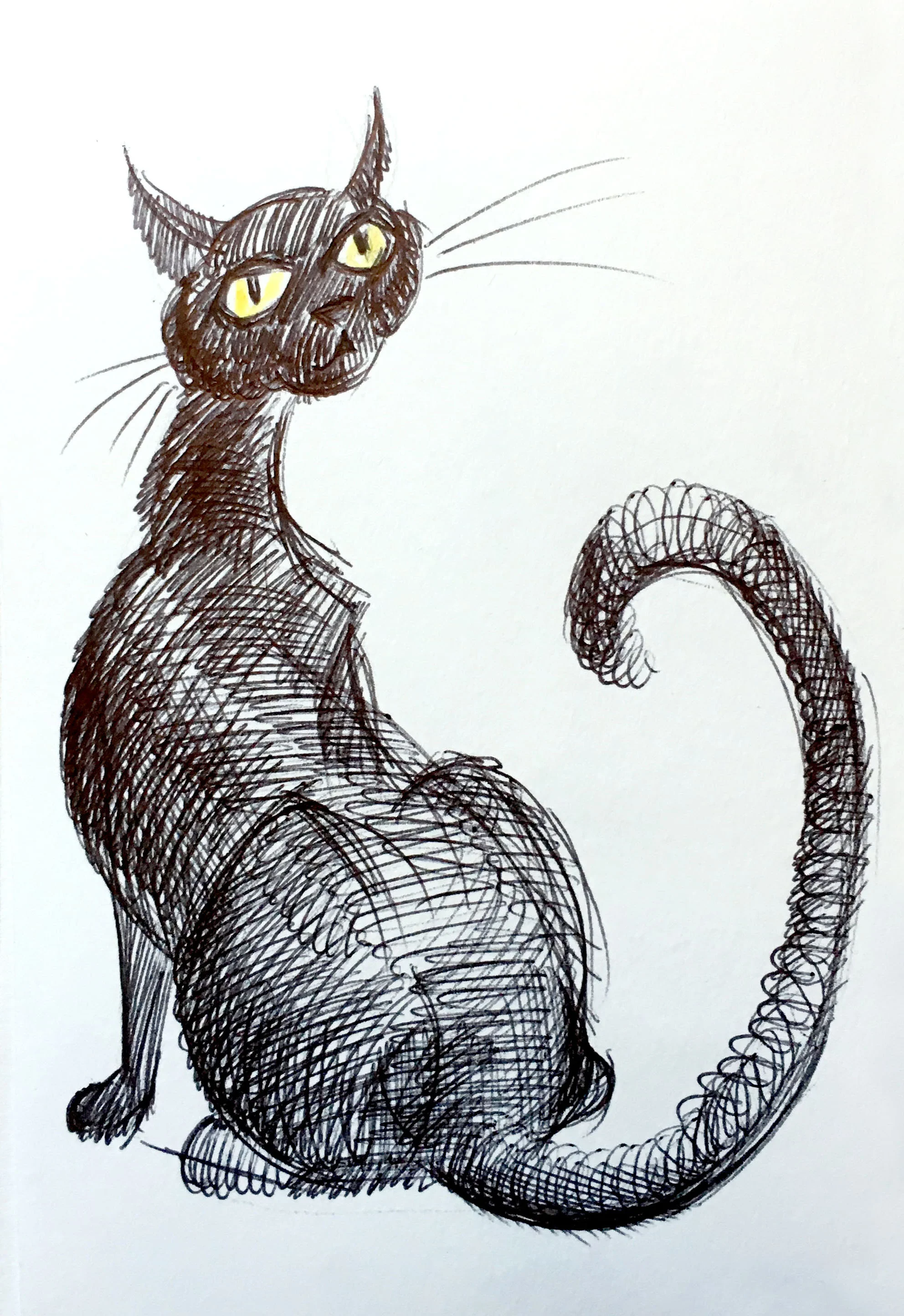 gatto_05.jpg