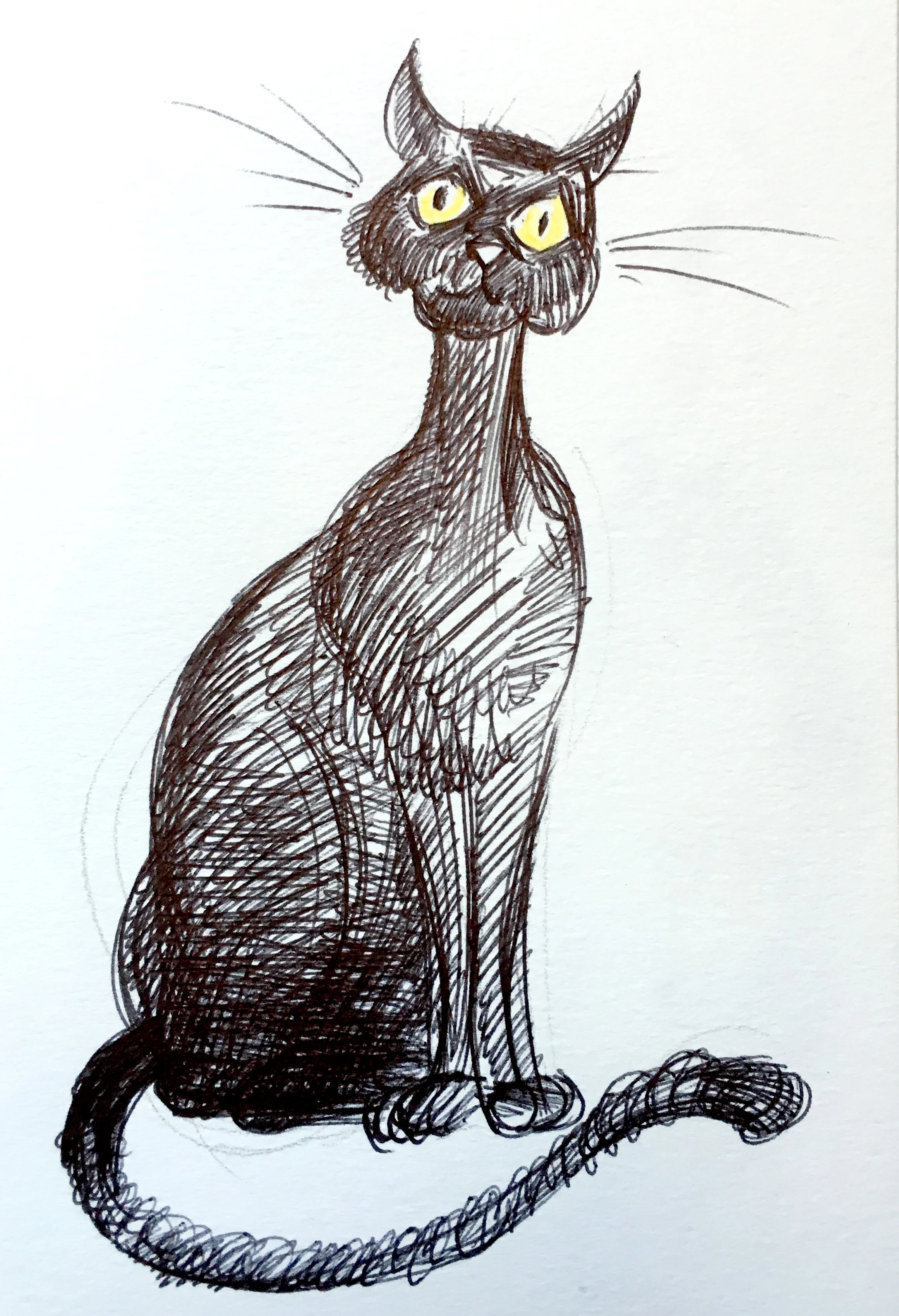 gatto_06.jpg