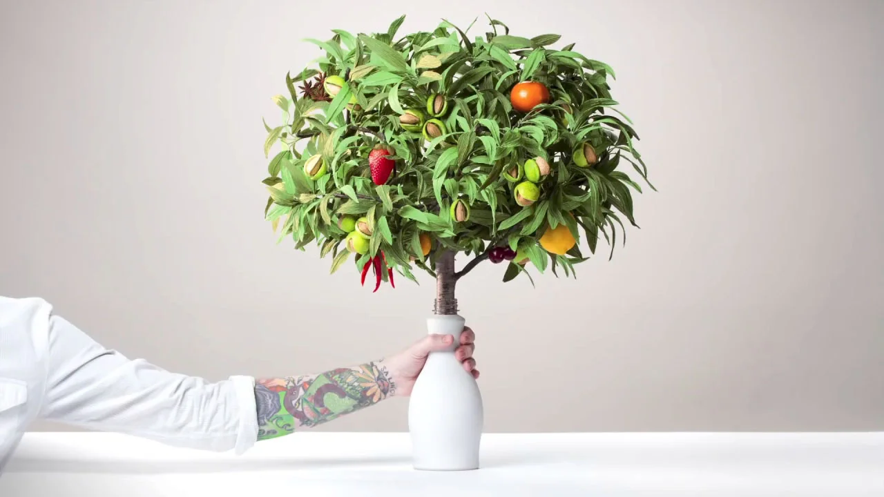 05_CalifiaFarms.jpg