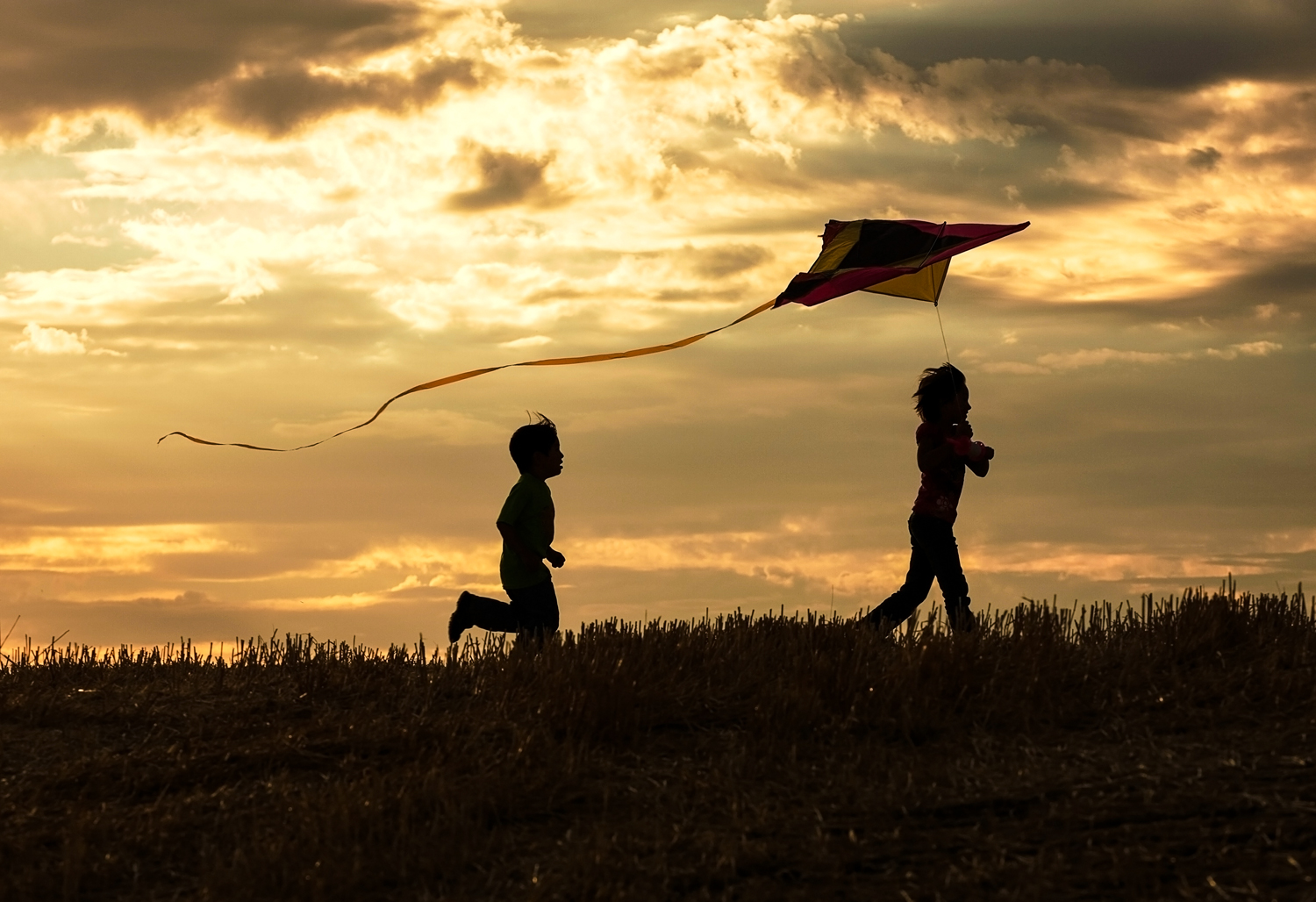   Several Events Take    PLACE HERE   EACH   EACH SUMMER    The Kite Festival  