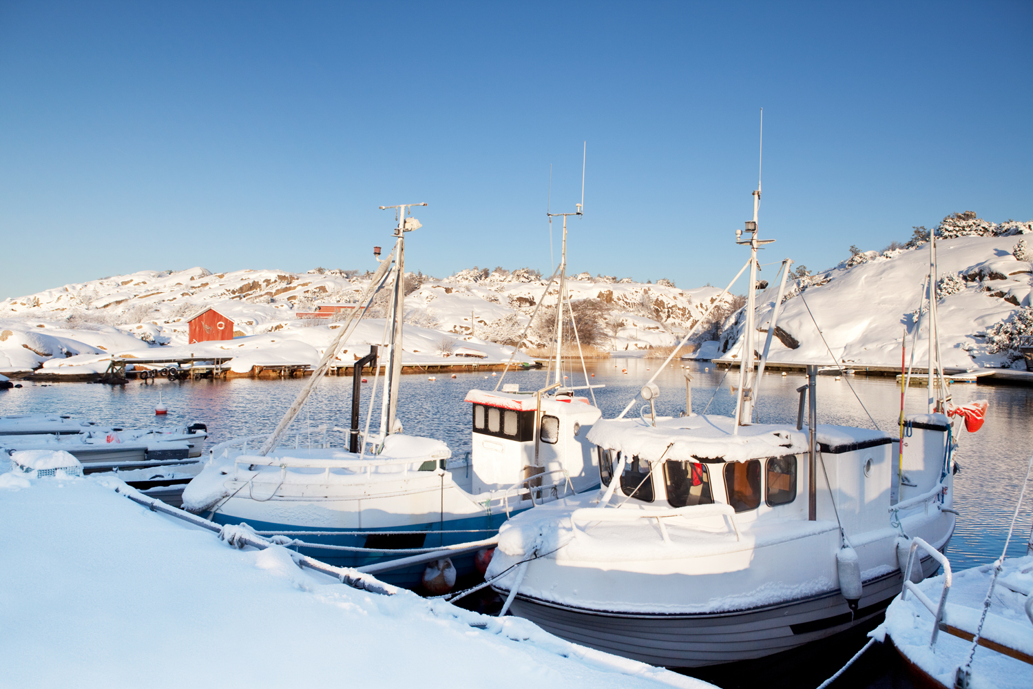 Vinter-i-Papperhavn.jpg