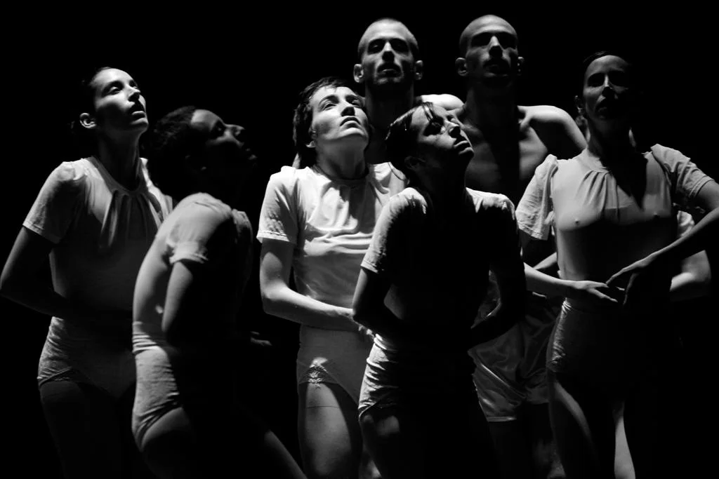 TAL_8526 (Large).JPG