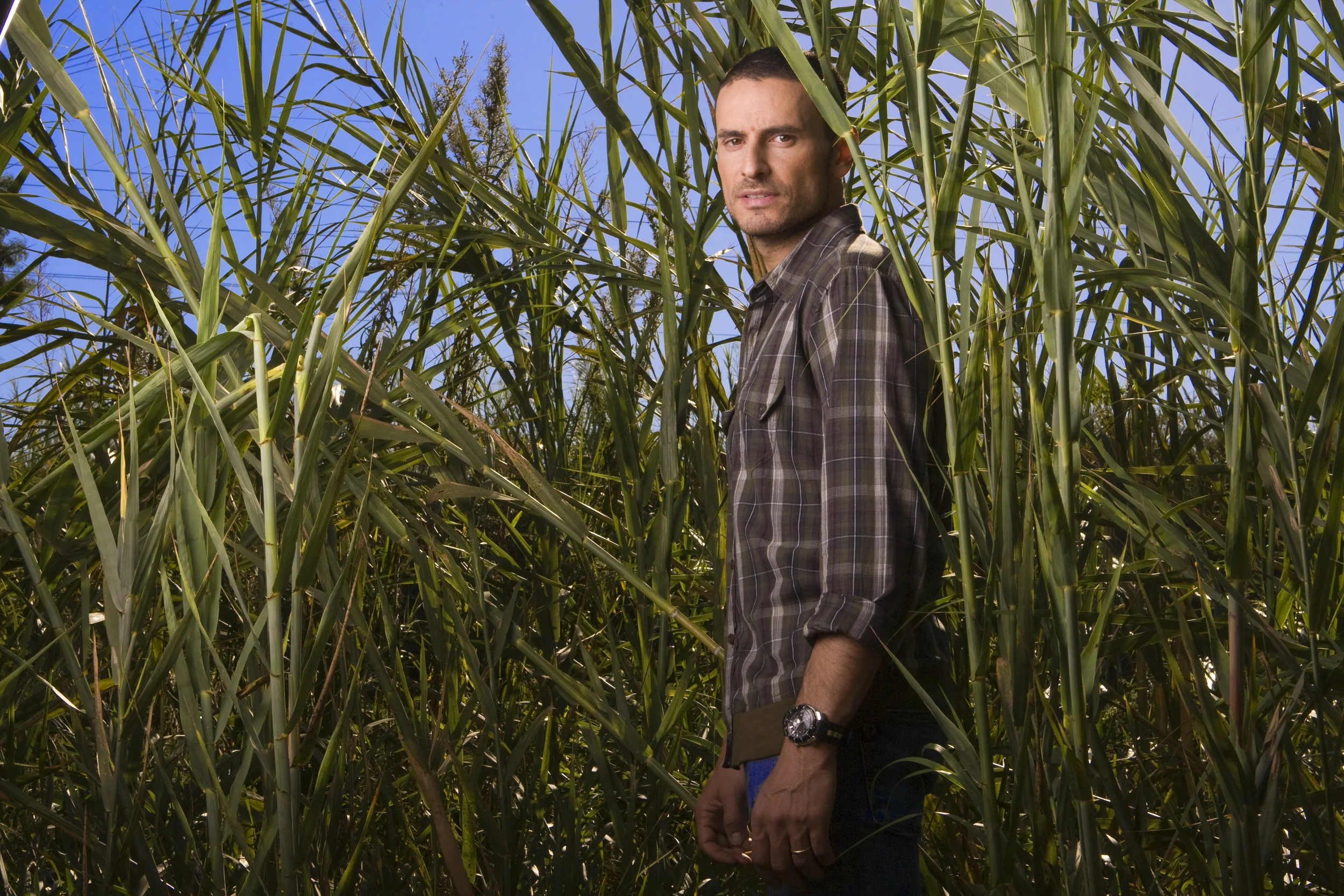  ��� �����
24
� 