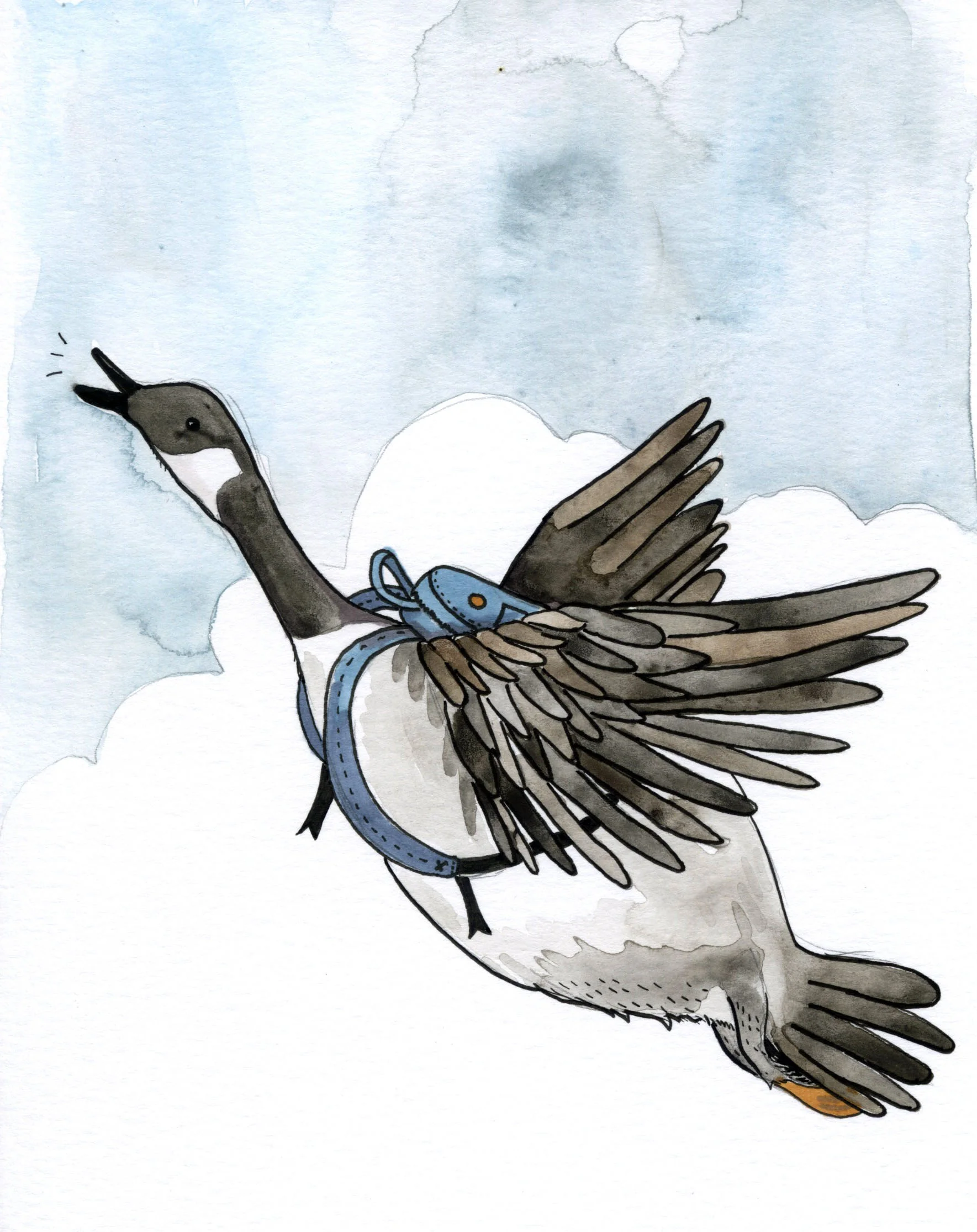 goose.jpg