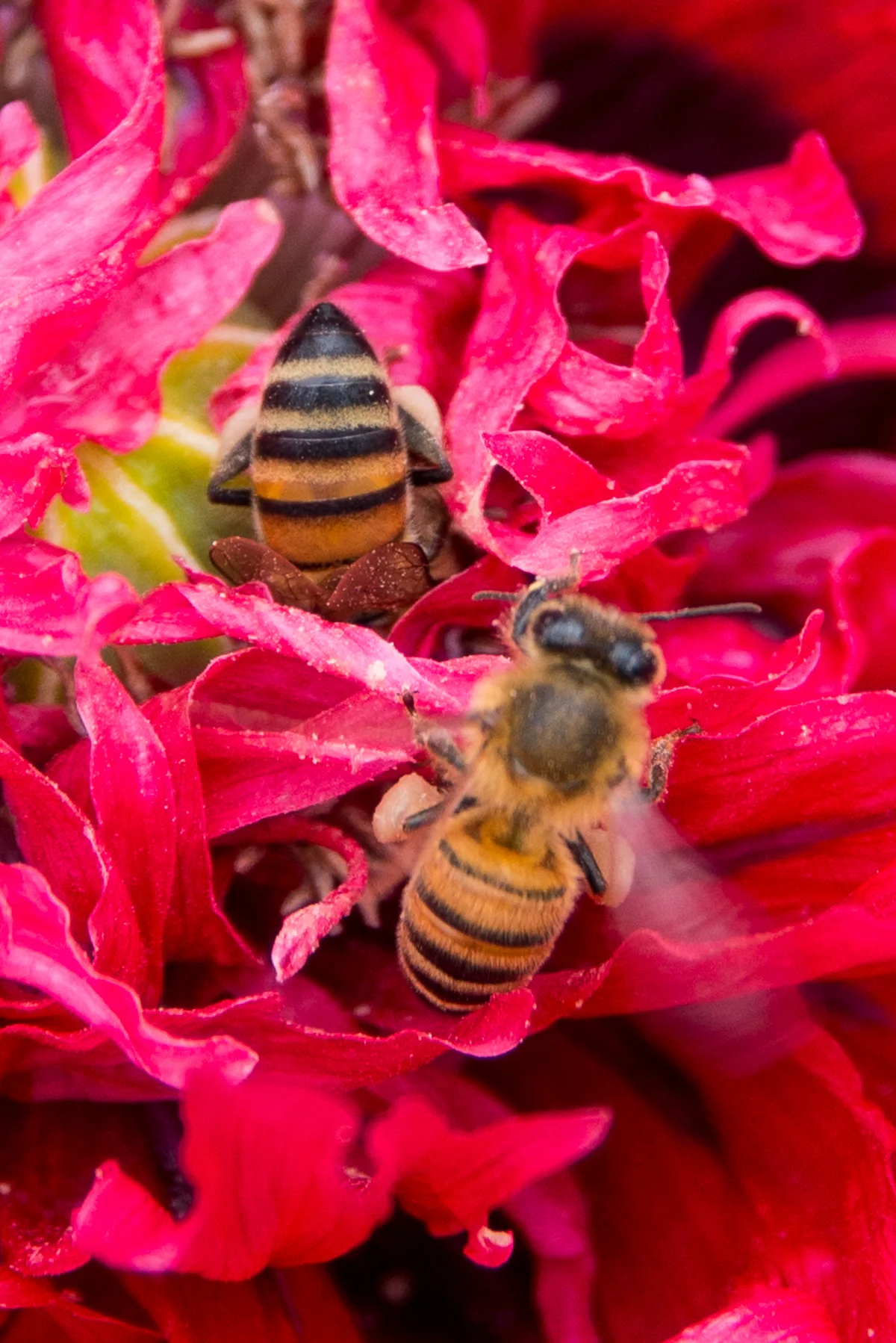 2016.04.10  daygo2016 024-web.jpg