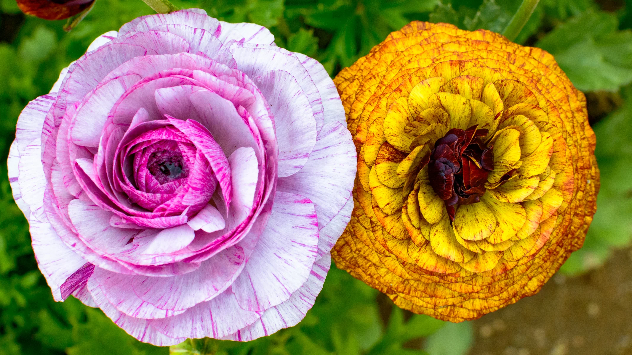 2016.04.10  daygo2016-2775.jpg