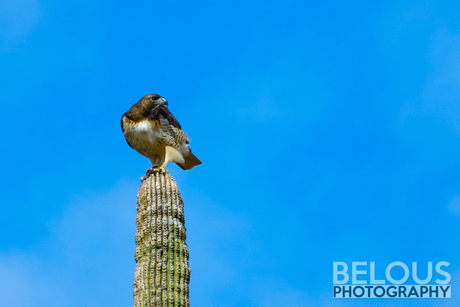 2017.01.16  Salt River MLK Excursion-SB-5041 - FINAL-web.jpg