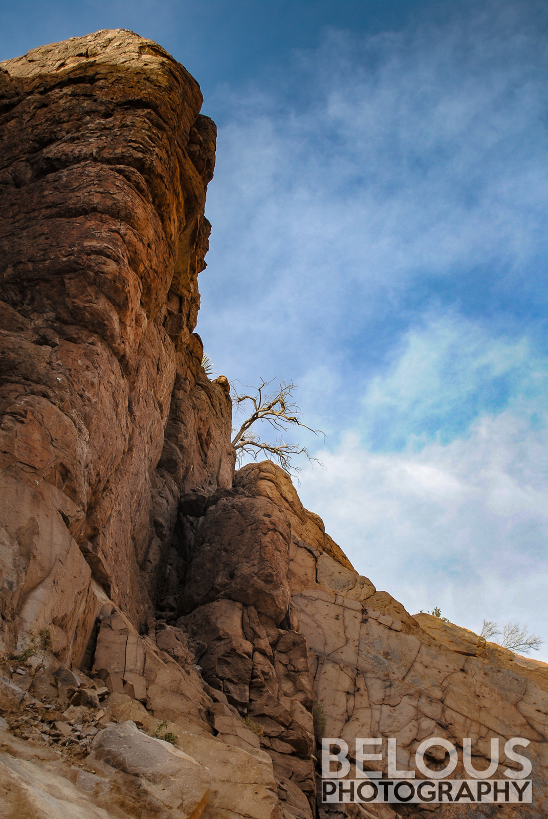 DSC_0065 - web-web.jpg