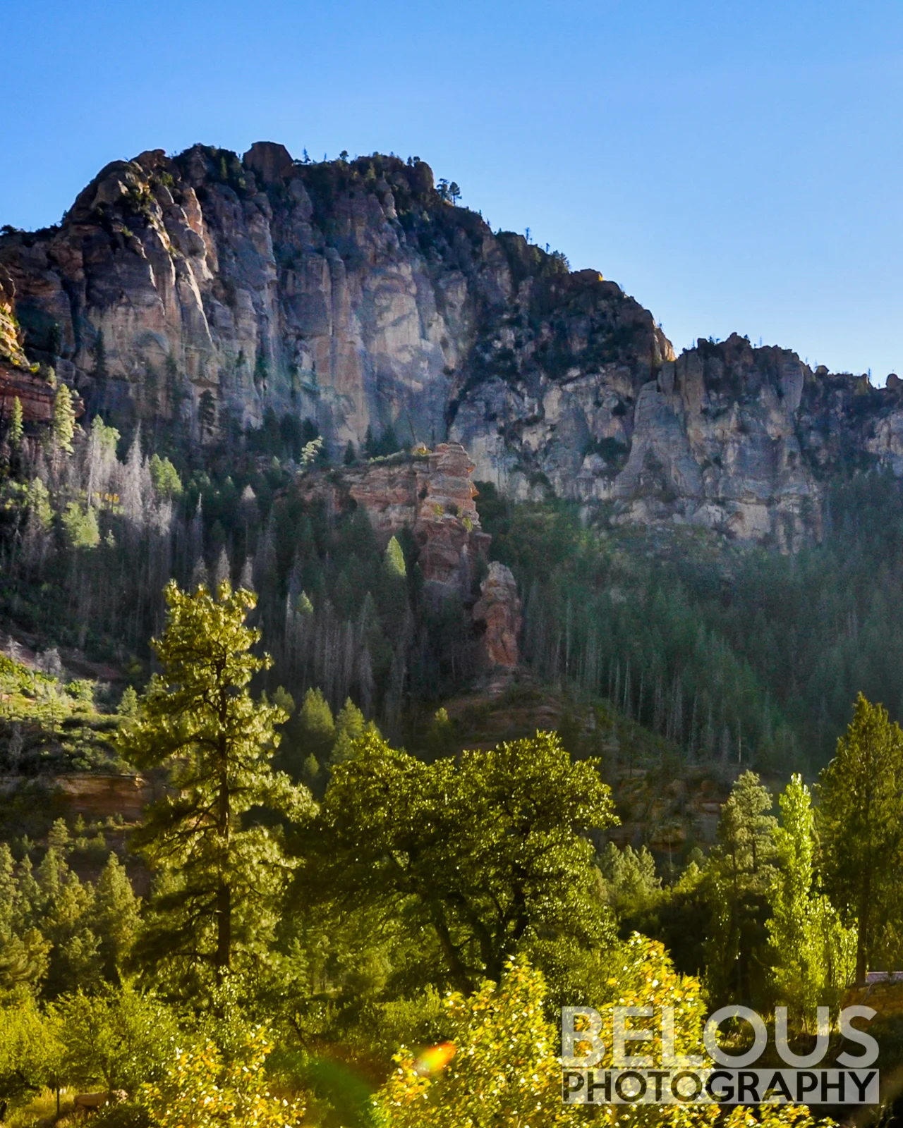 DSC_0223 - web-2-web.jpg