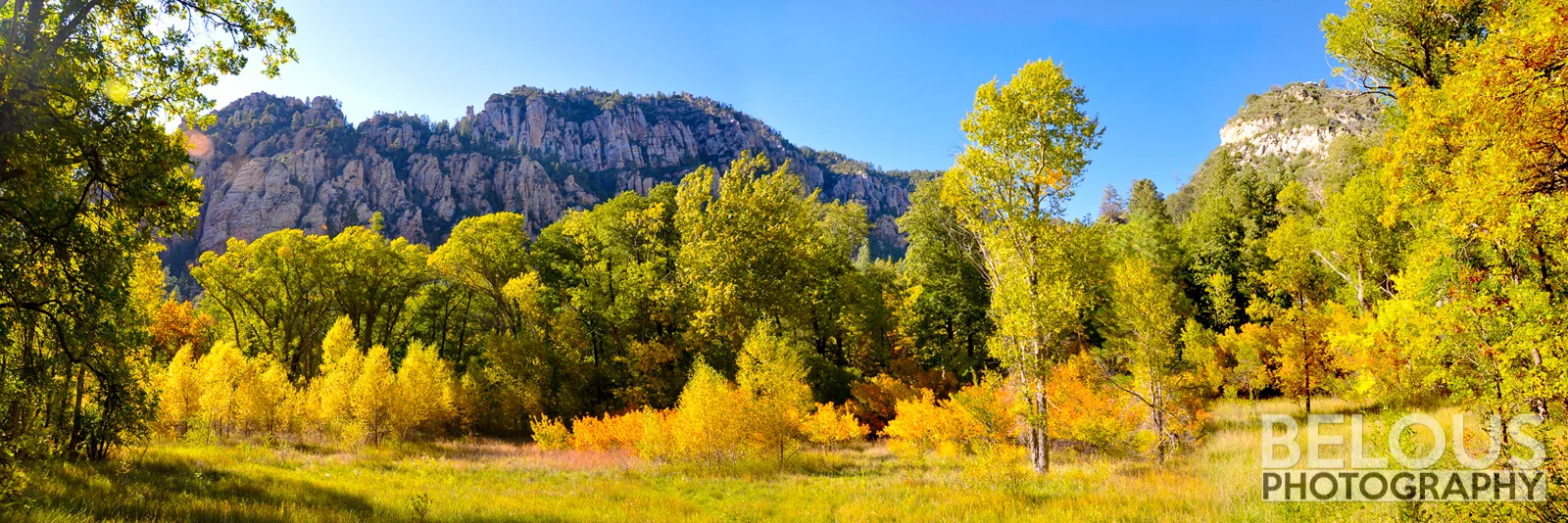 Oak Creek Canyon Autumn-web.jpg
