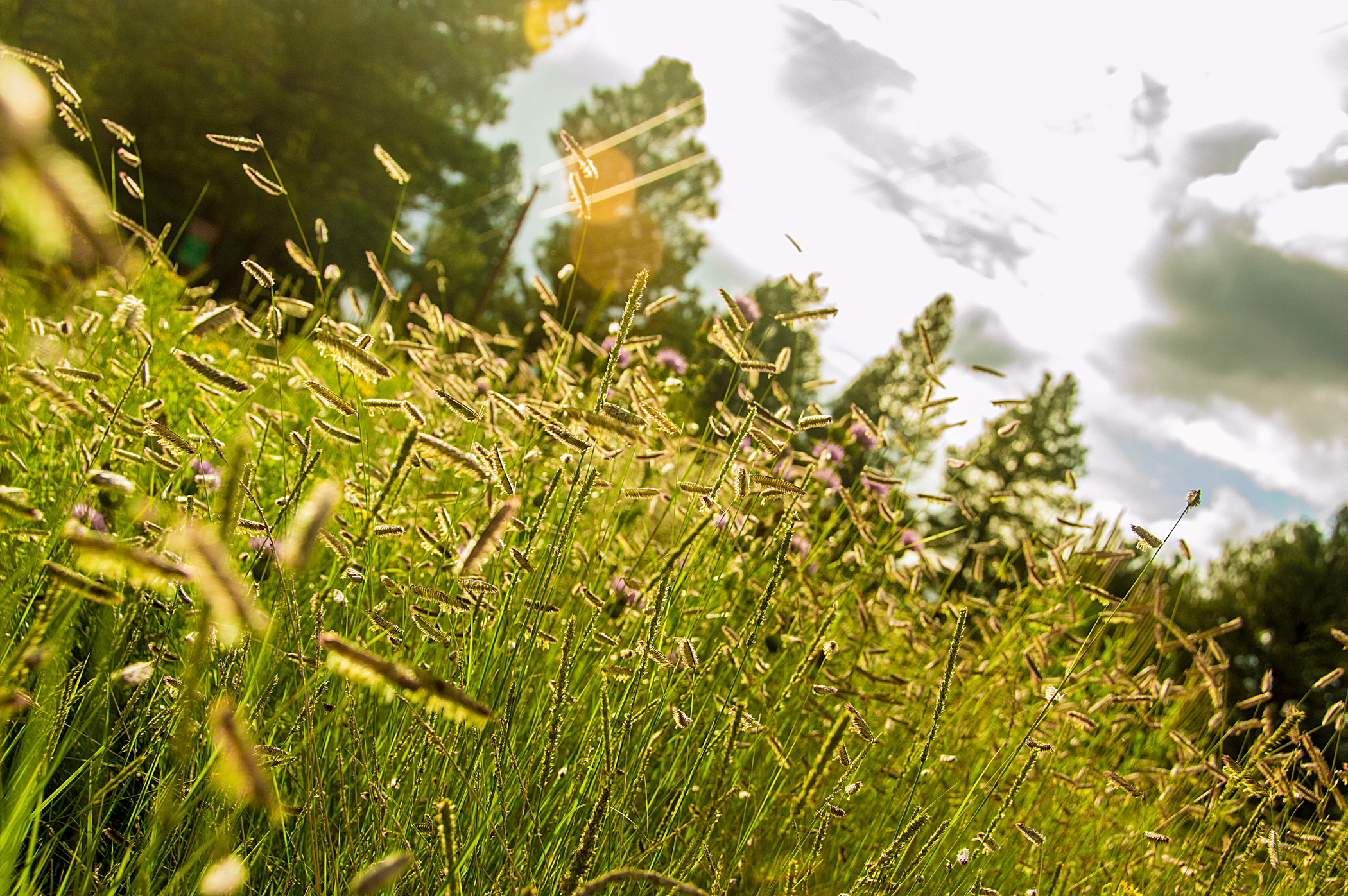 2013.09.01 Labor Day Weekend-65.jpg