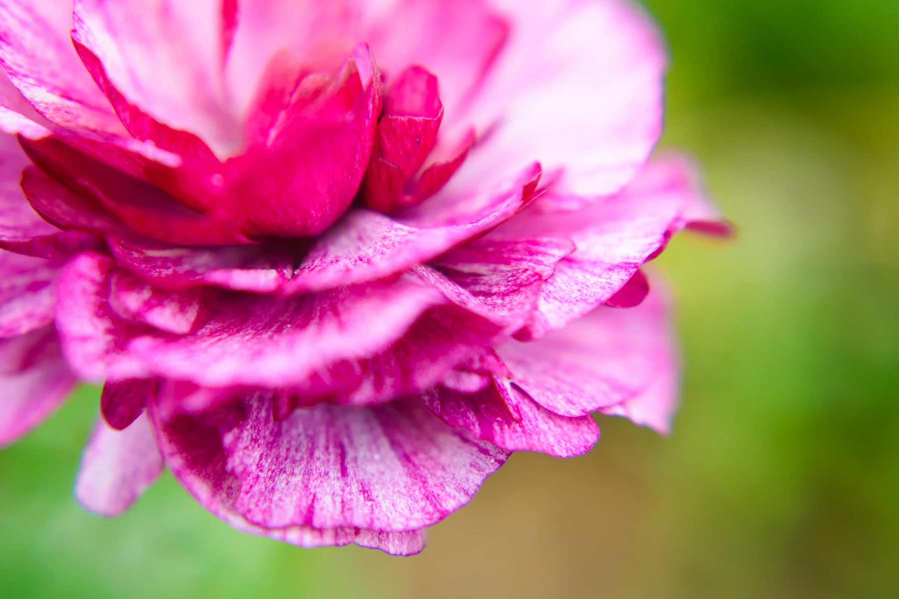 2016.04.10  daygo2016 028-web.jpg