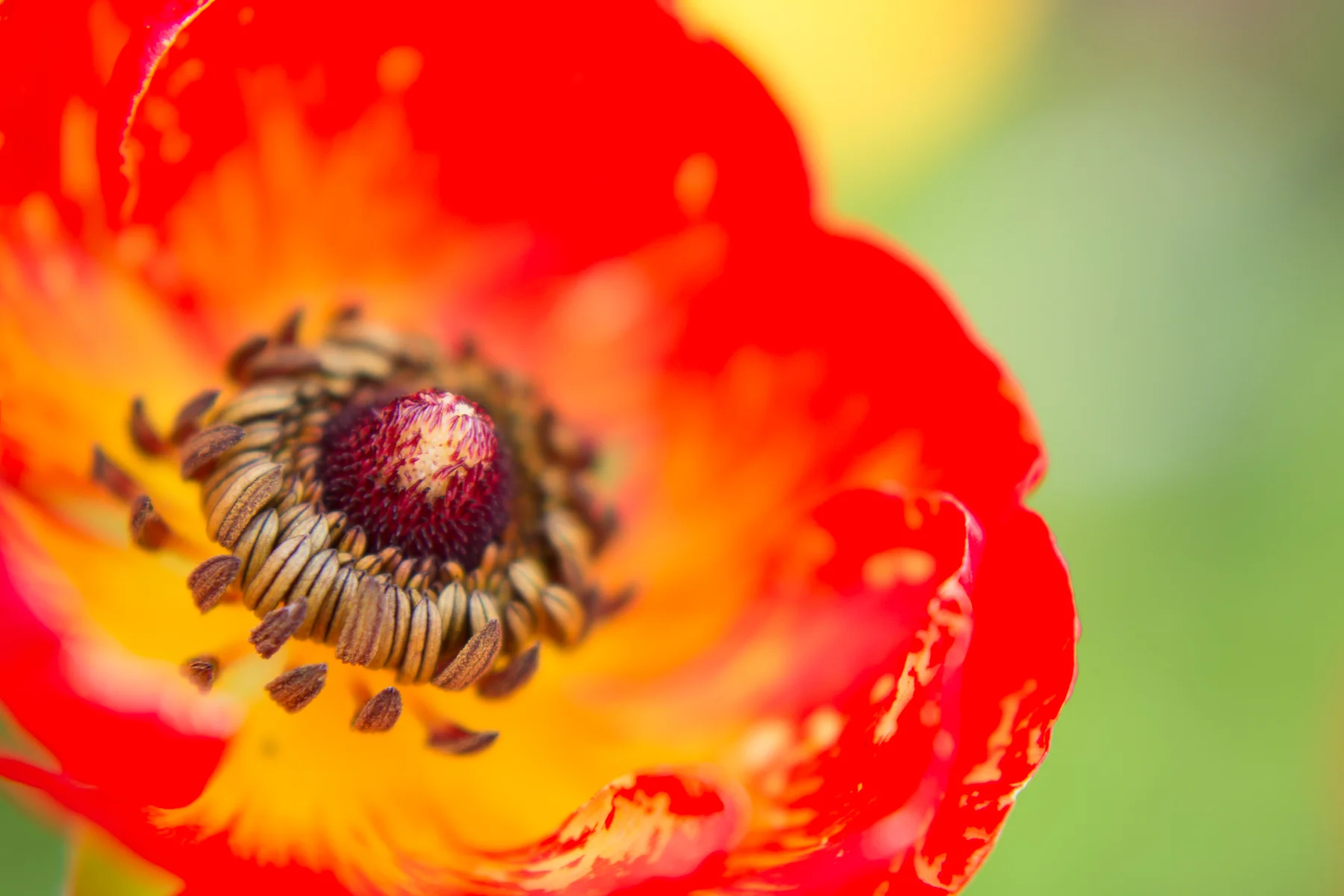 2016.04.10  daygo2016-2310.jpg