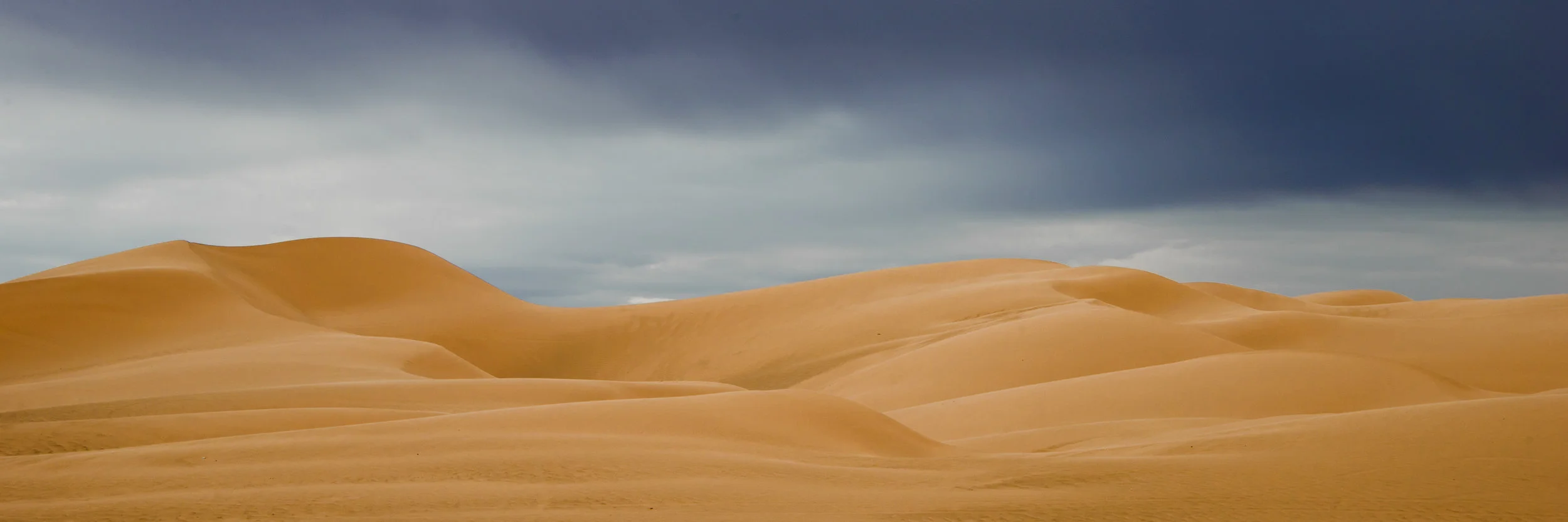 Have you ever seen the rain?