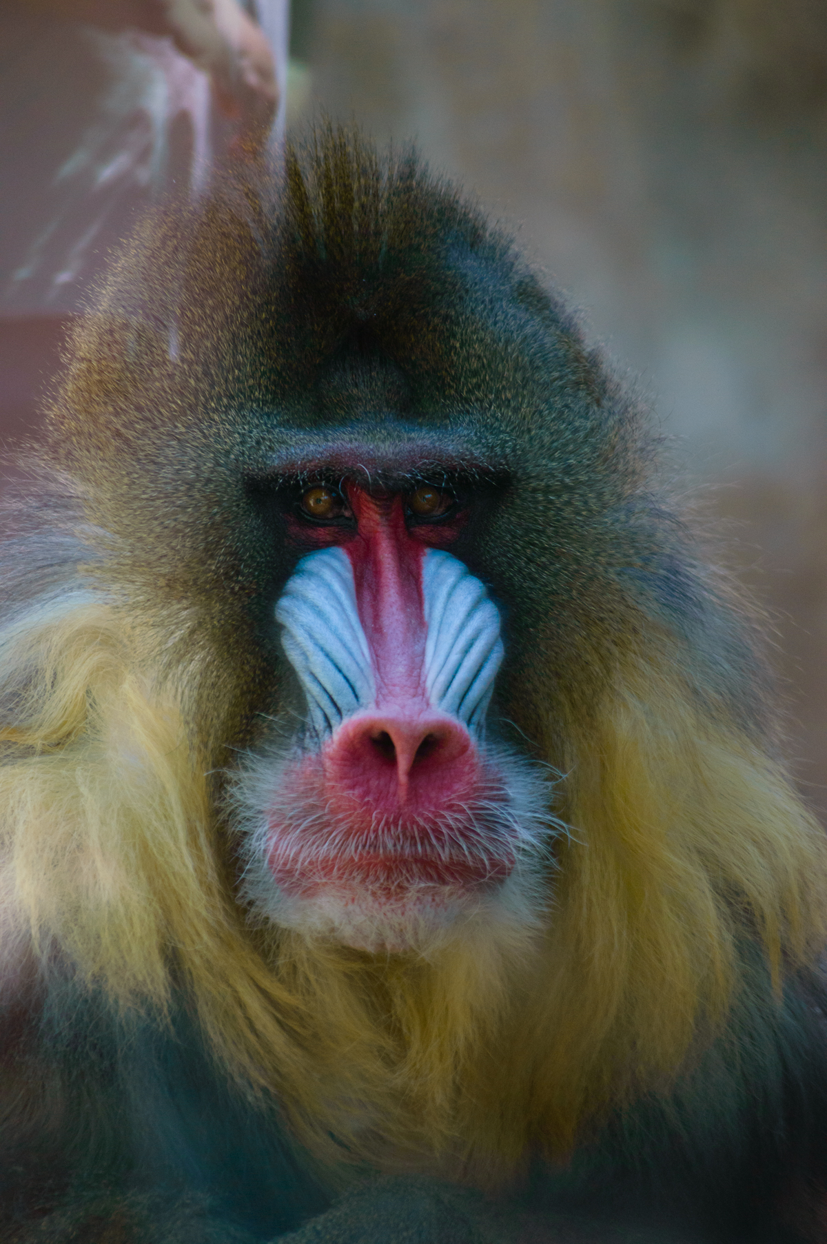 2014.04.13 Zoo Lili-56 - web.jpg