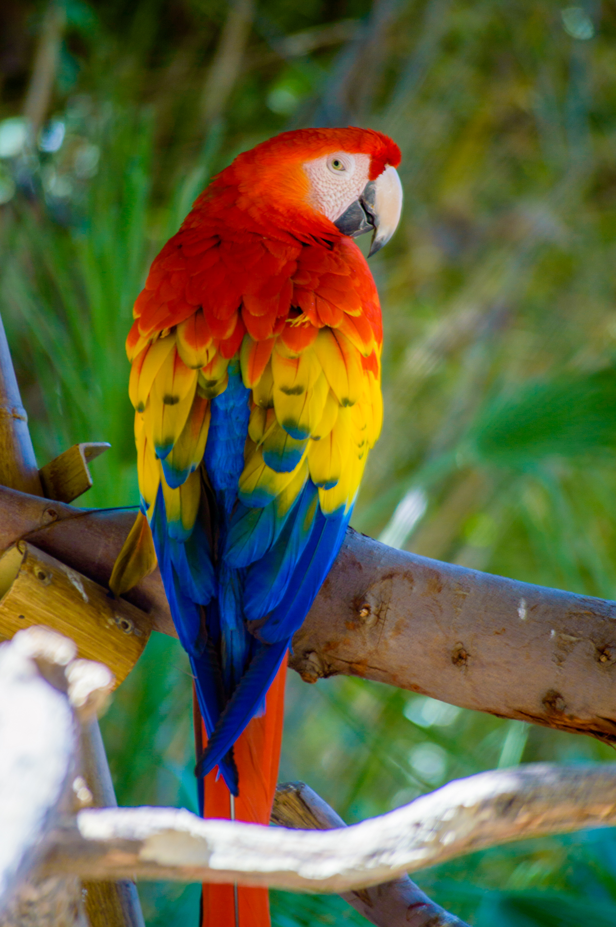 2014.04.13 Zoo Lili-102 - web.jpg