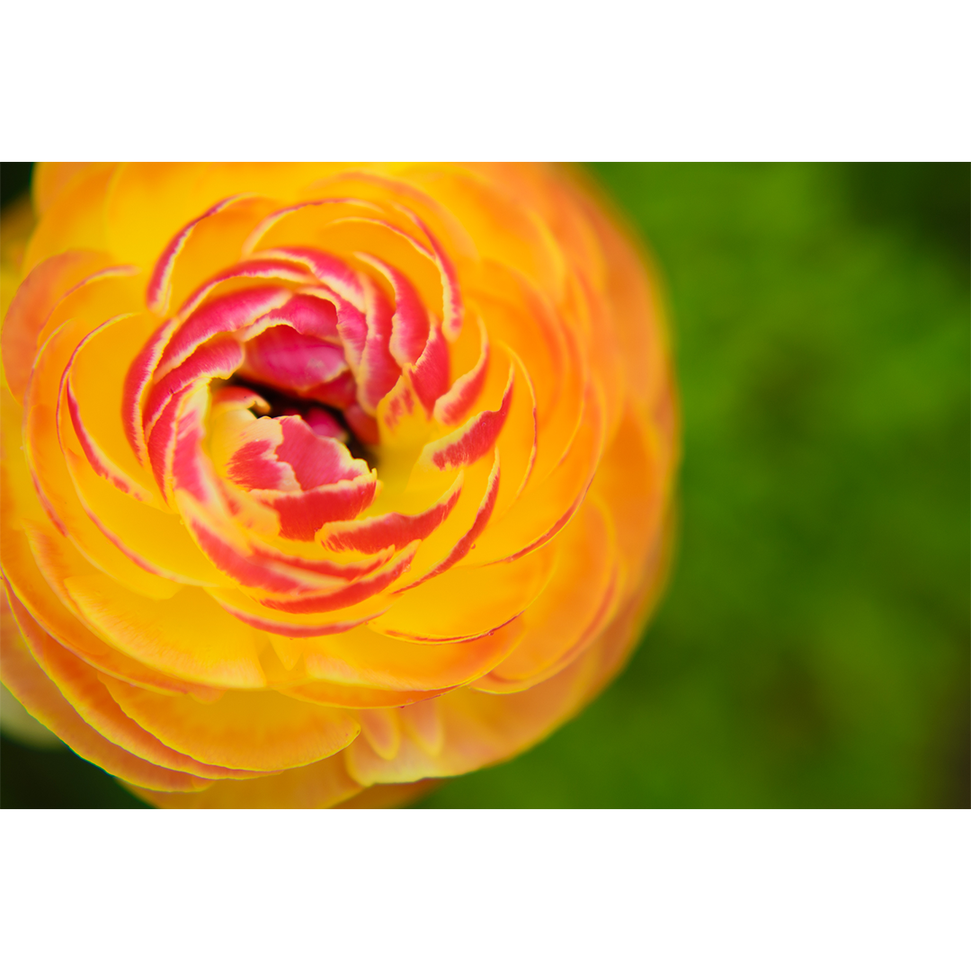 Untitled-1_DSC2336-shop-thumb.png