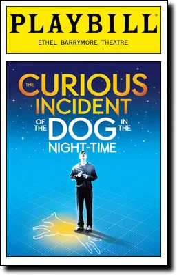 The Curious Incident of the Dog in the Night-Time