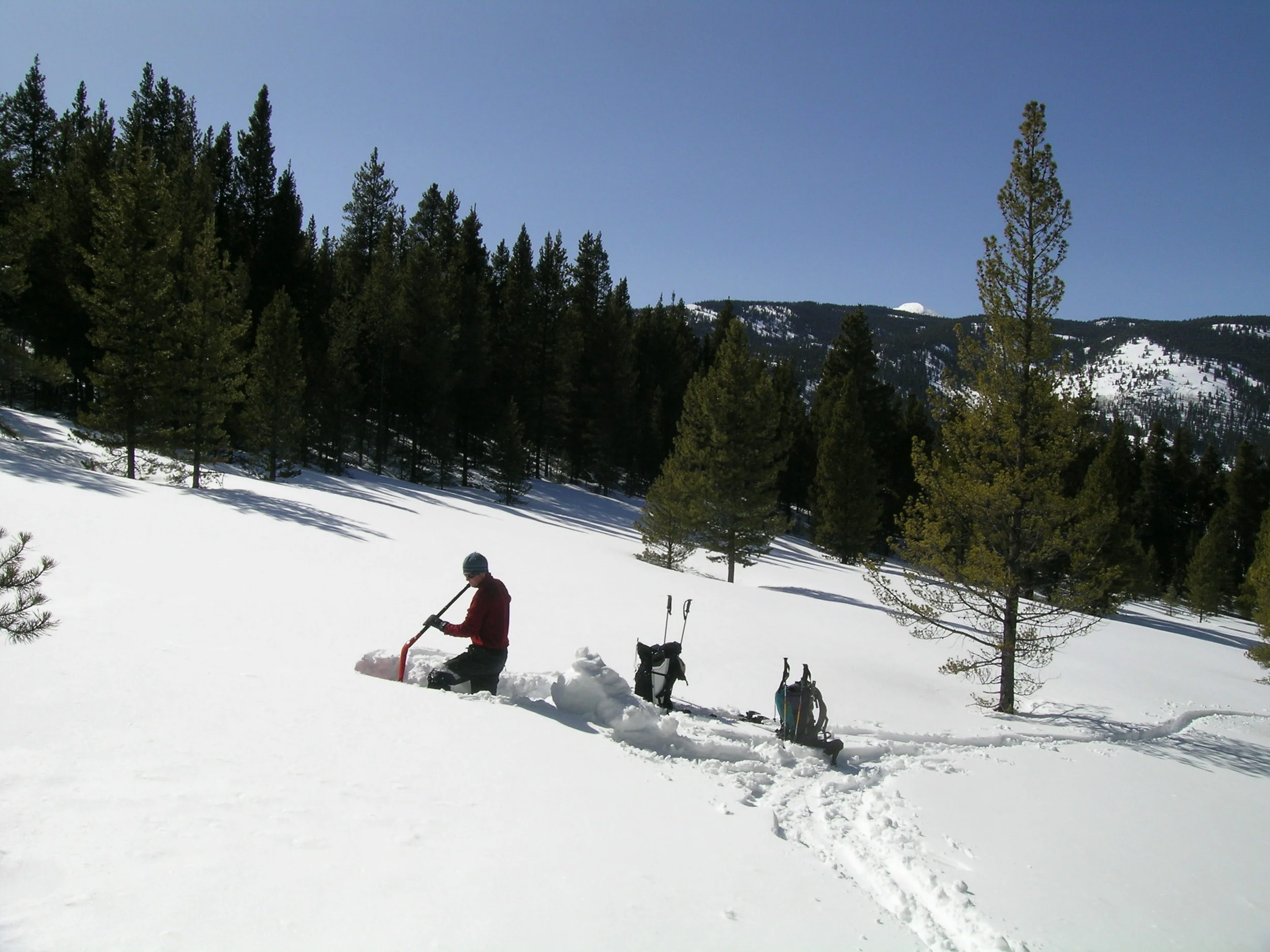 CSAS 2010-03-21_007.JPG