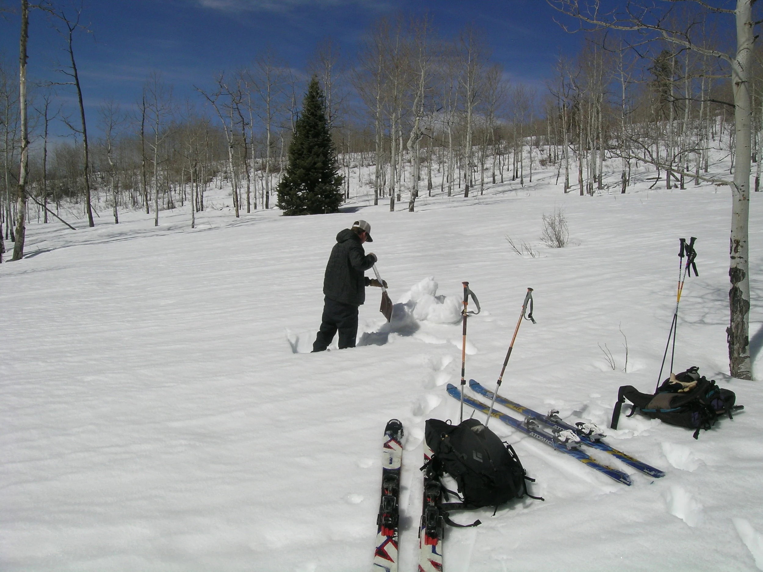 CSAS 2012-03-16_002.JPG