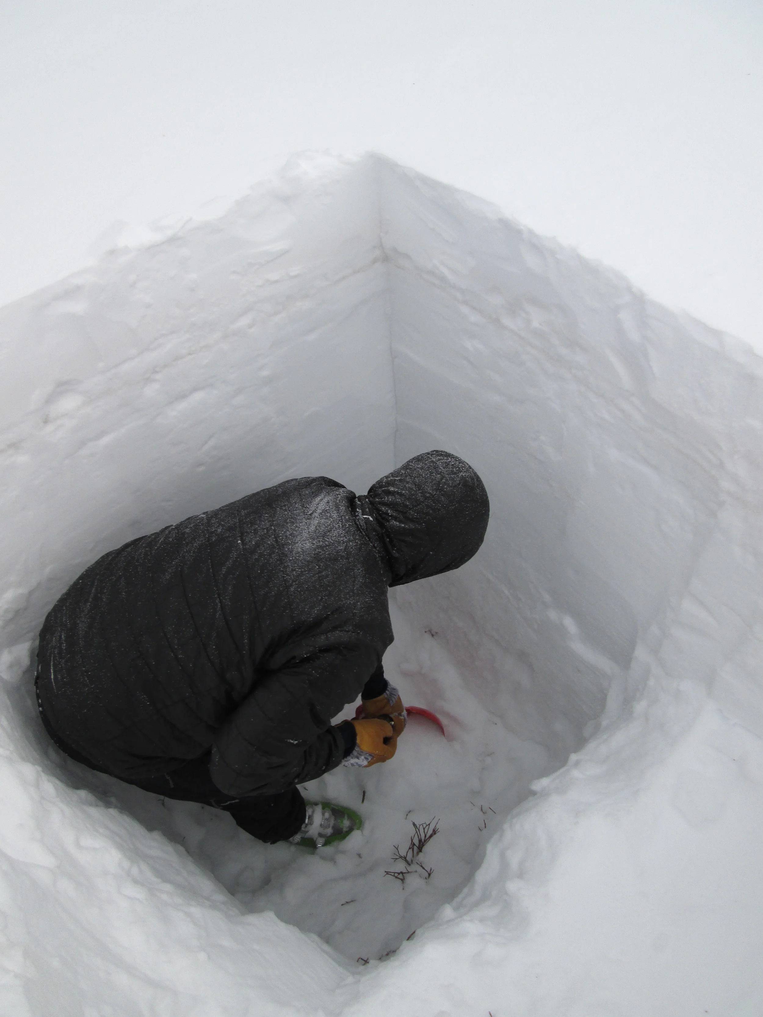 CSAS field assistant Andrew Temple preparing the March 29 snow profile at the Hoosier Pass CODOS site. Dust layer D3-WY2014 was clearly visible in a diffuse band 8” below the snow surface. Dust layer D2 was present in a thin layer of ice just below D3. Dust layer D4 (March 30) fell onto the clean snow surface seen in this profile, significantly reducing snow albedo until fresh snowfall beginning today (April 2) began to bury D4. Once re-exposed, radiative forcing in layer D4 will need to melt almost 1” of SWE before merging with layer D3, reducing snow albedo even further. 