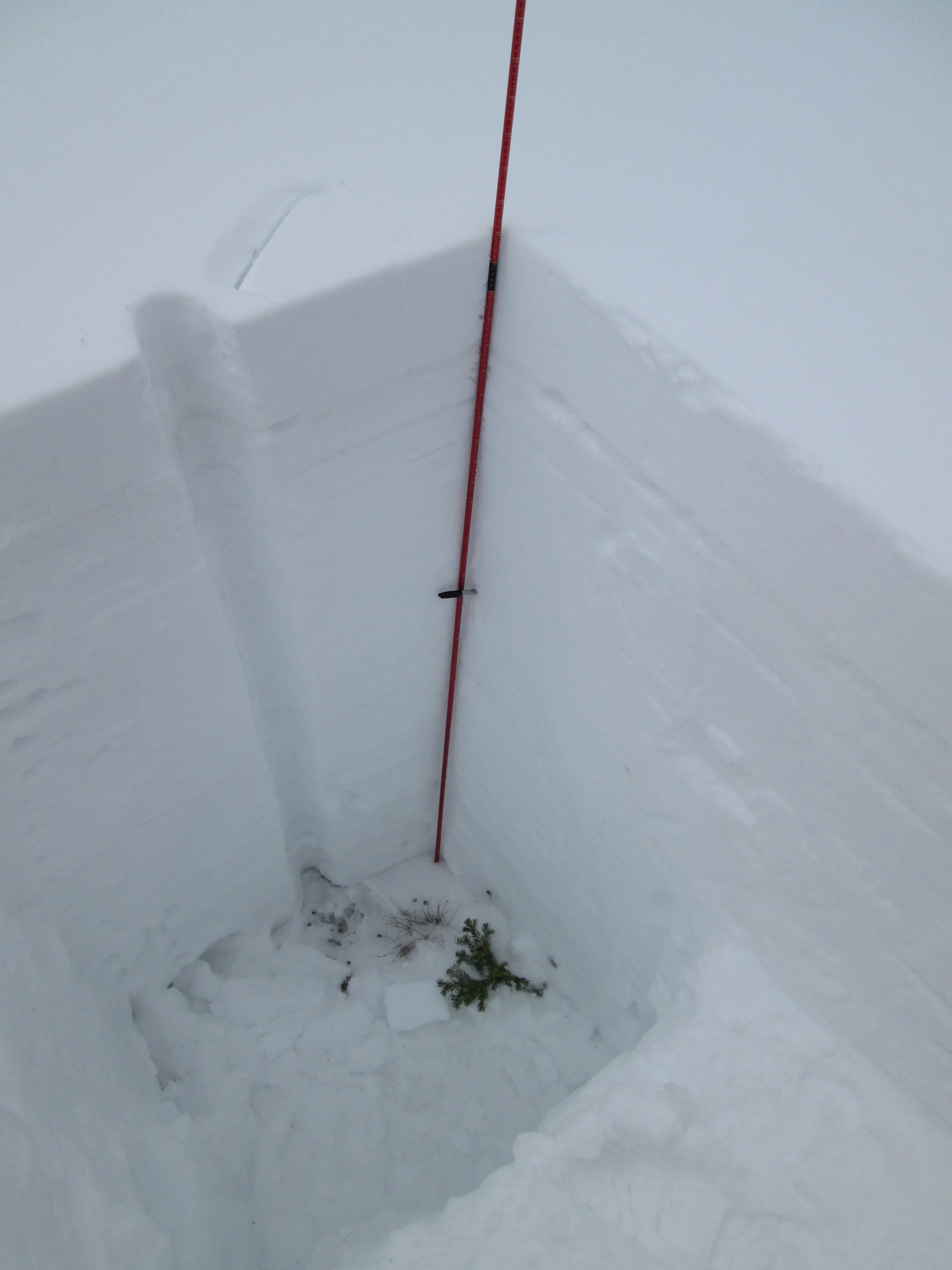 At mid-day Sunday, March 30, only the vaguest hints of dust layer D3-WY2014 were observed some 8” below the snow surface. In practice, if this was D3 dust at all, it was inconsequential and dust layer D2 was not observed. At the time of this profile, this was one of only two ‘dust-free’ snowpacks observed during this CODOS circuit of all eleven sites, the other being at the Willow Creek Pass CODOS site. No dust was observed on the snowpack surface in the Berthoud Pass locale. Unfortunately, later that evening, dust layer D4 (March 30) fell onto the clean snow surface at Berthoud Pass, with minimal (or no) fresh snow covering the new dust. Perhaps within hours the next day, D4 may have been extensively exposed and significantly reducing snow albedo until fresh snowfall beginning April 2 began to bury D4. As long as D4 was exposed to direct solar radiation in that interim, melt water percolating downward from the dirty snow surface was hastening the warming of the underlying snowpack toward isothermal.