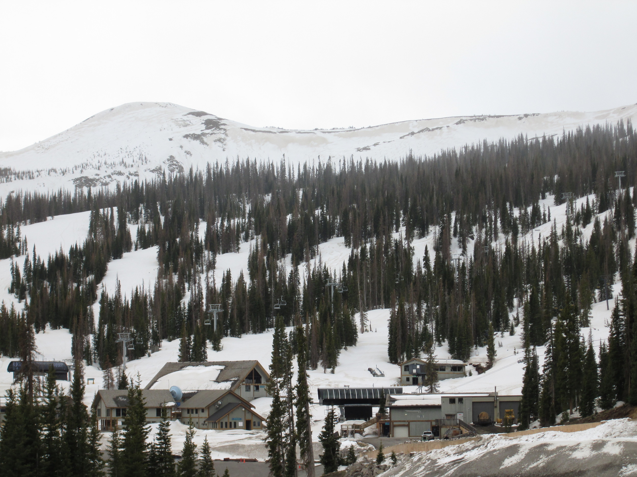 Wind stripping had removed recent snow and exposed dust layer D8 below the ridgeline at Wolf Creek Ski Area